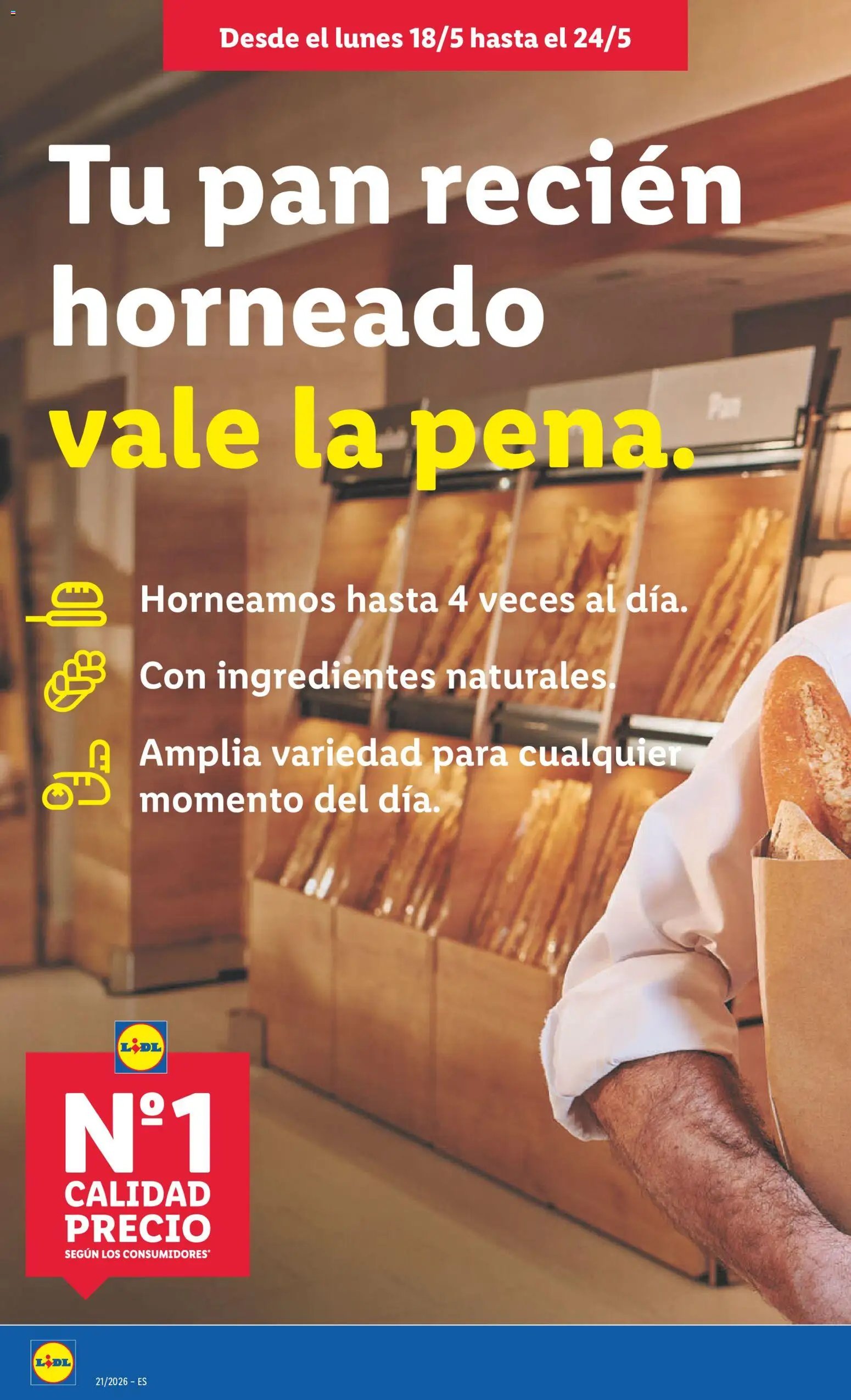 Lidl folleto