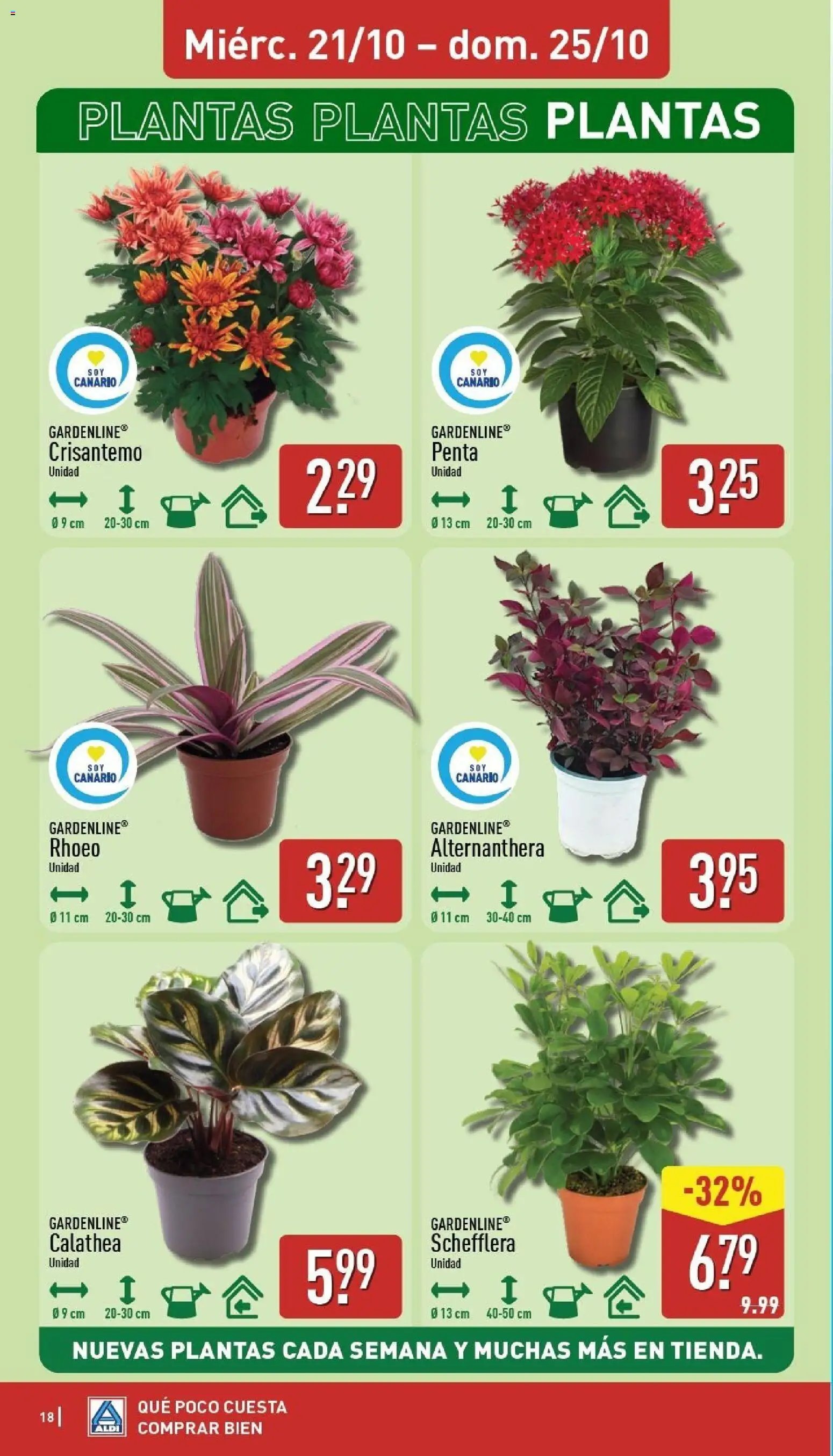 Aldi folleto Canarias