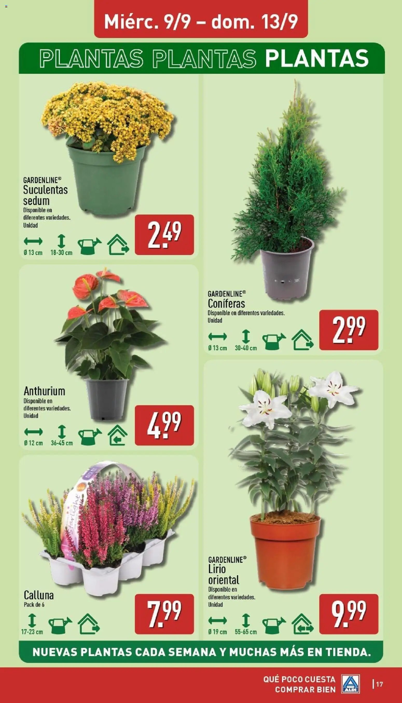 Aldi folleto Península
