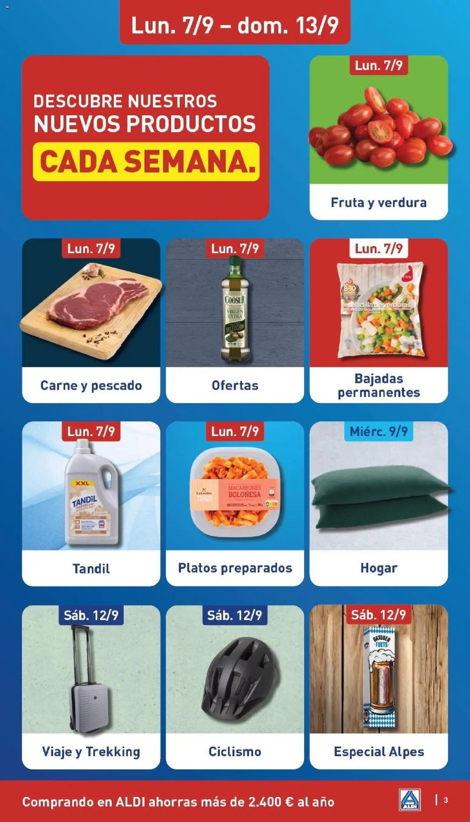 Aldi folleto Península