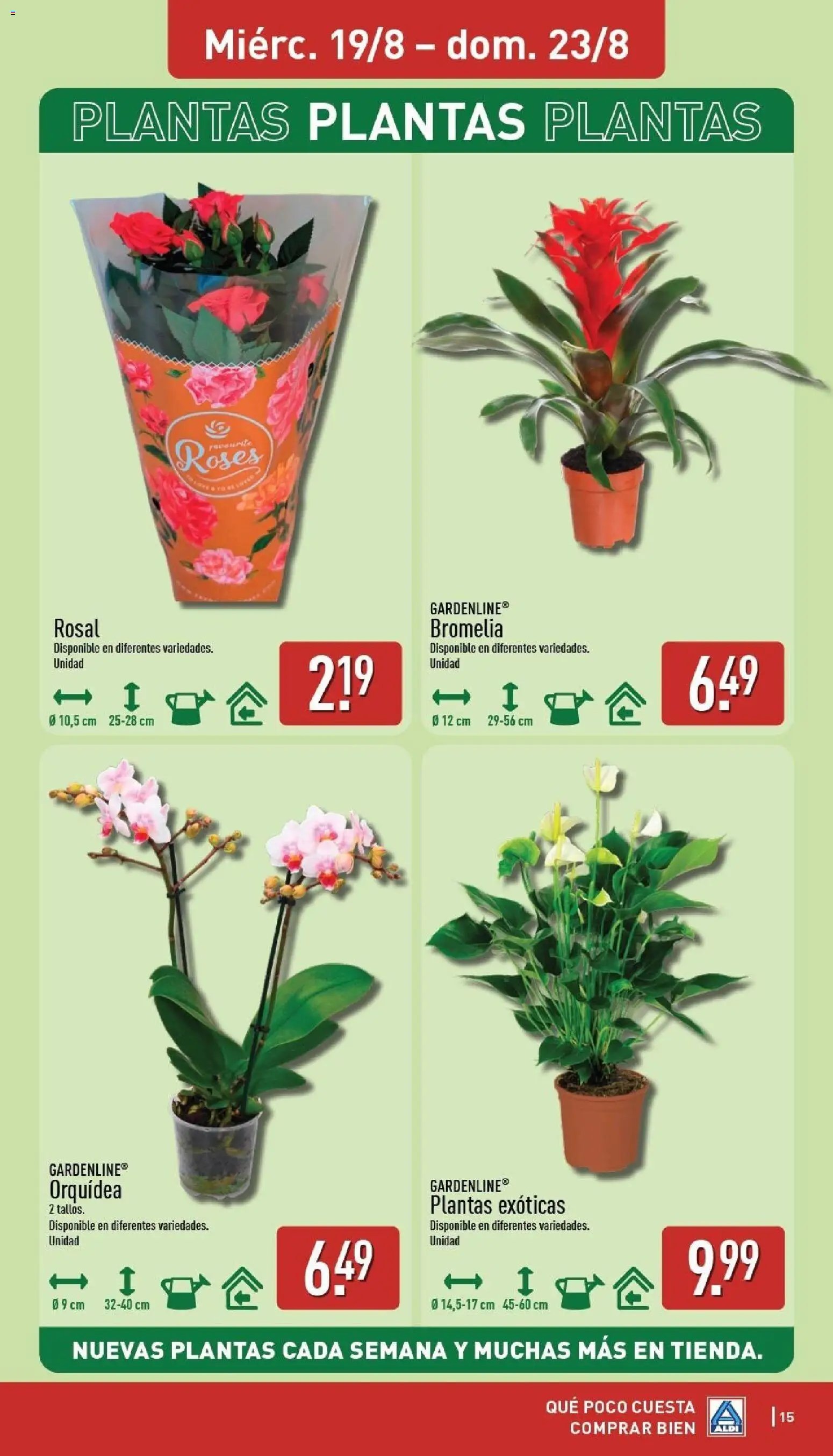 Aldi folleto Baleares