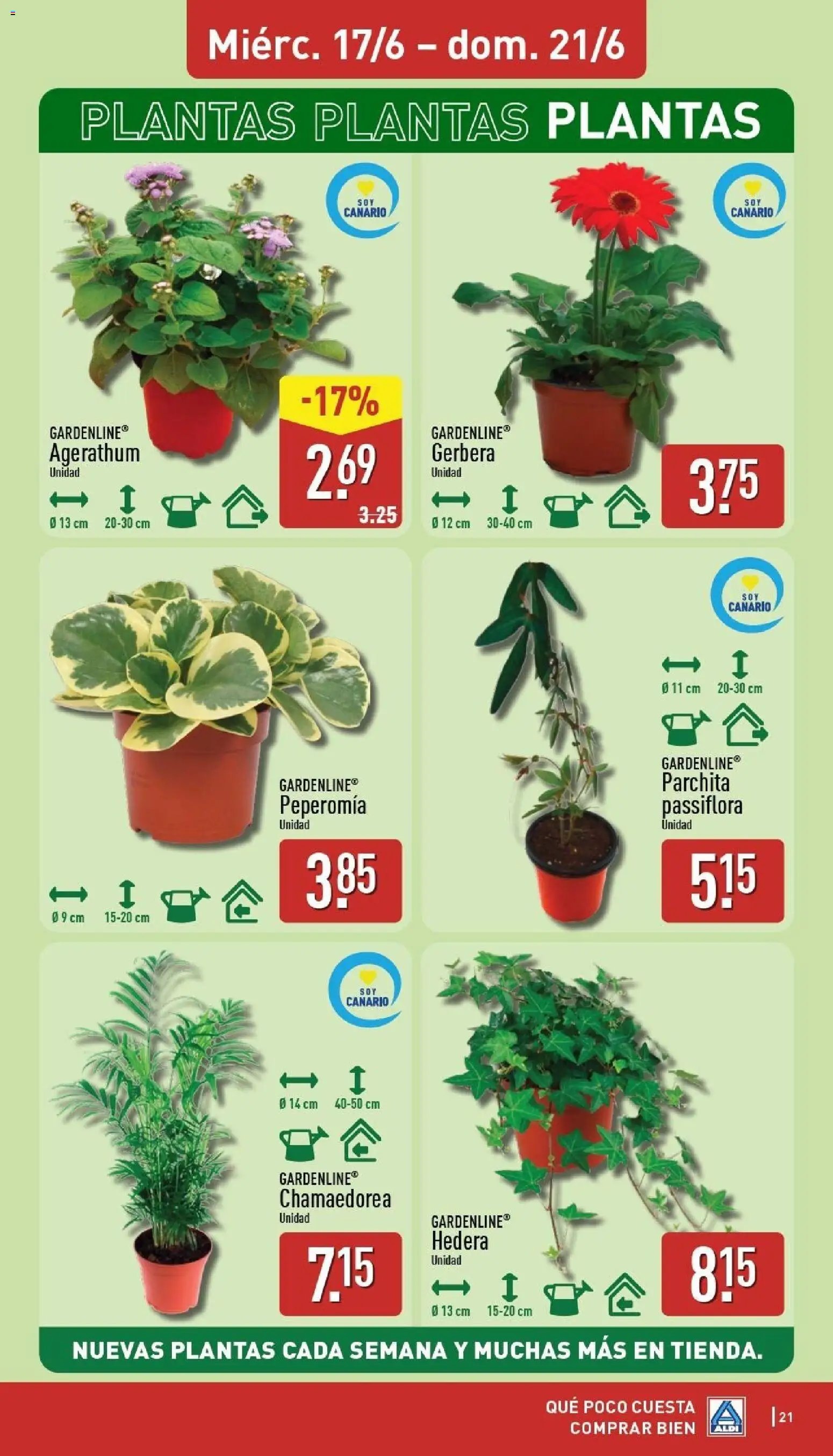 Aldi folleto Canarias