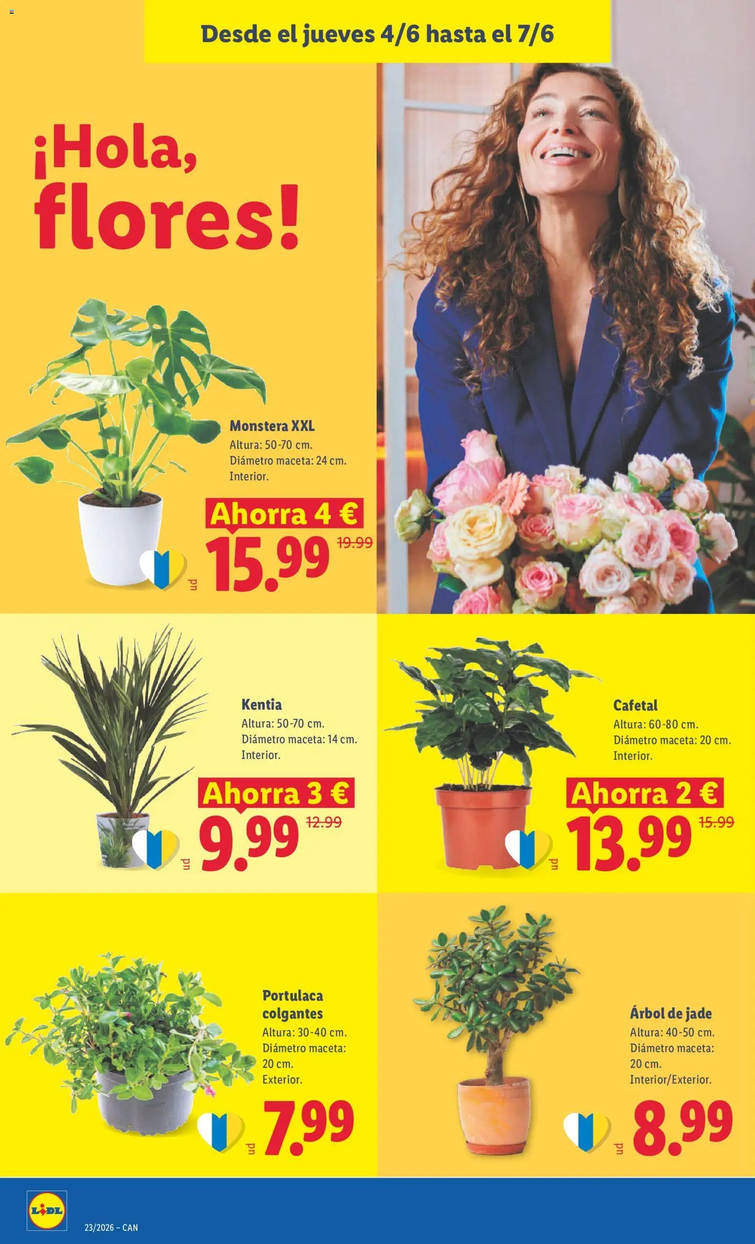 Lidl folleto Canarias
