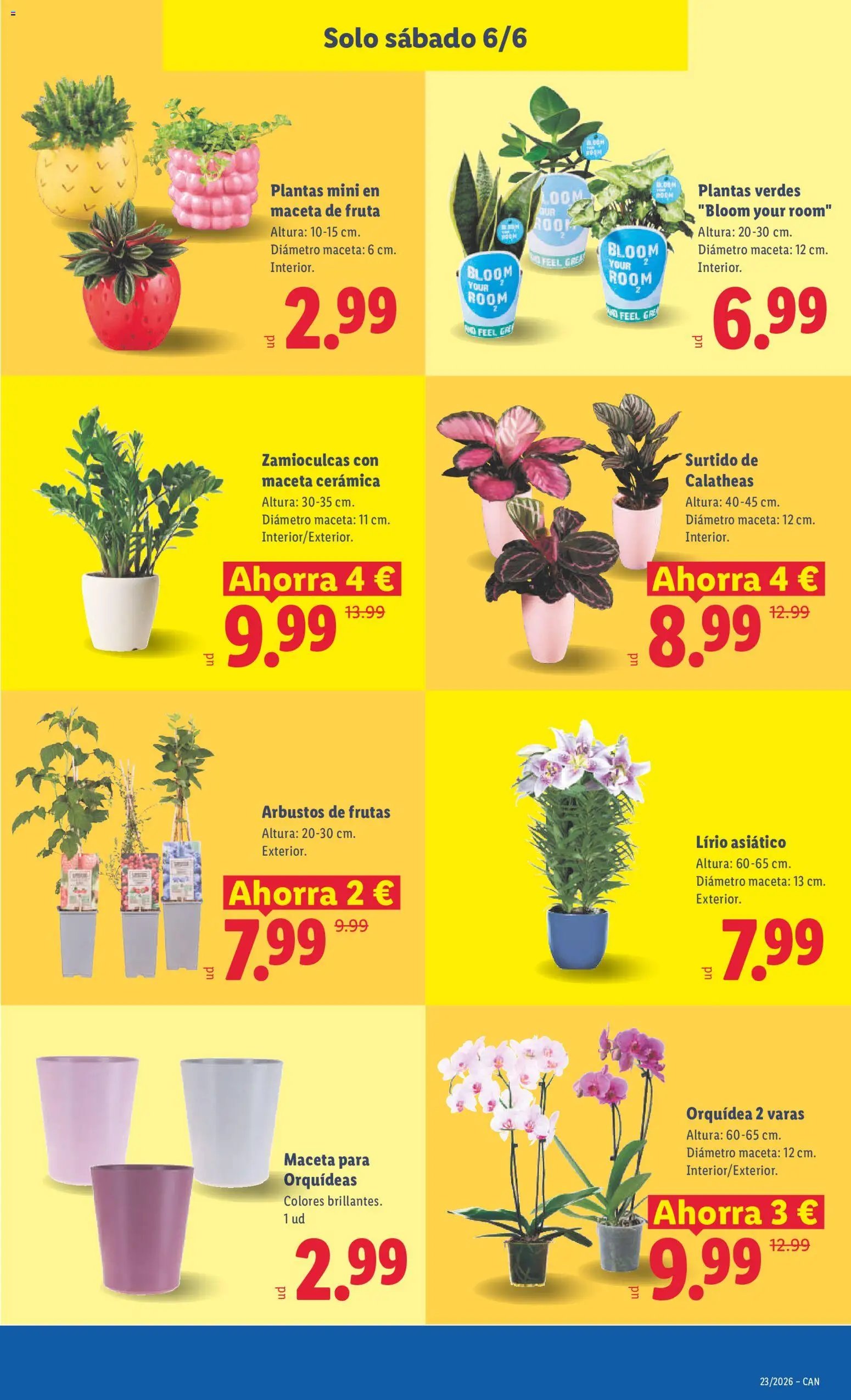 Lidl folleto Canarias