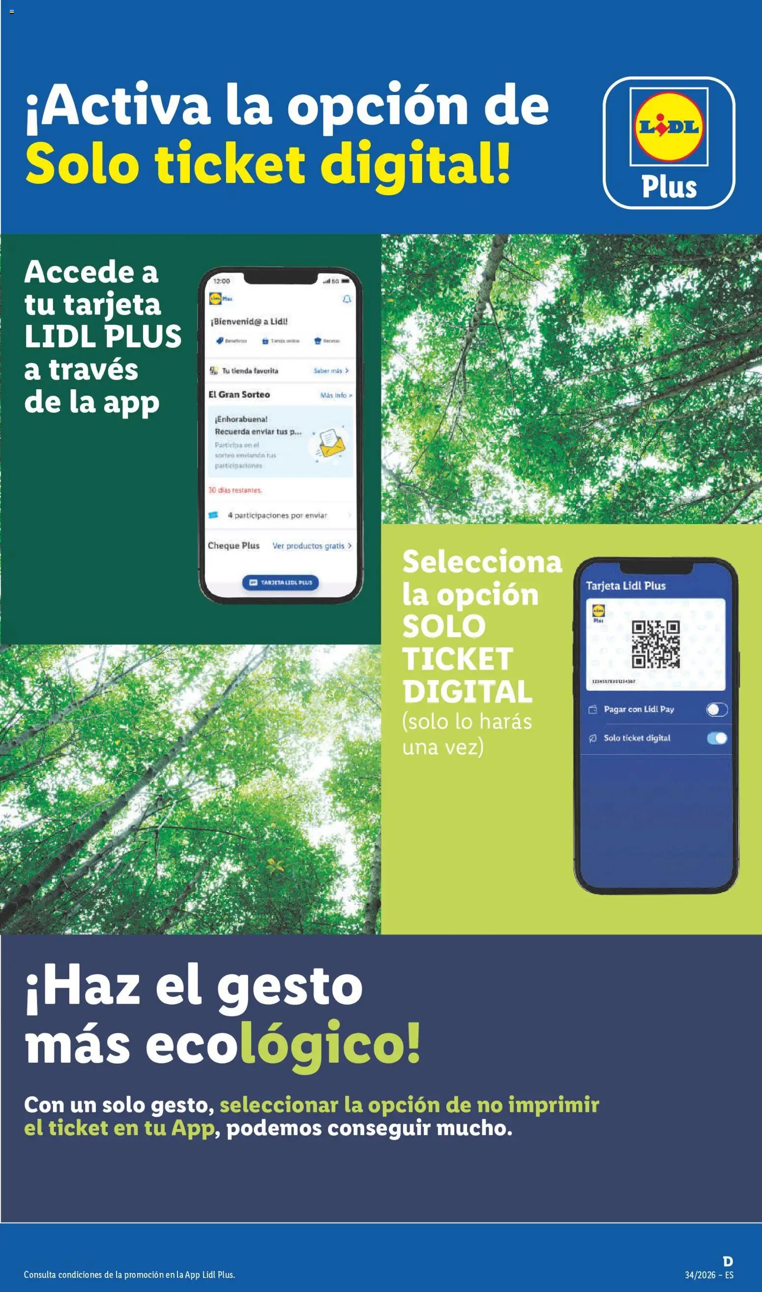 Lidl folleto
