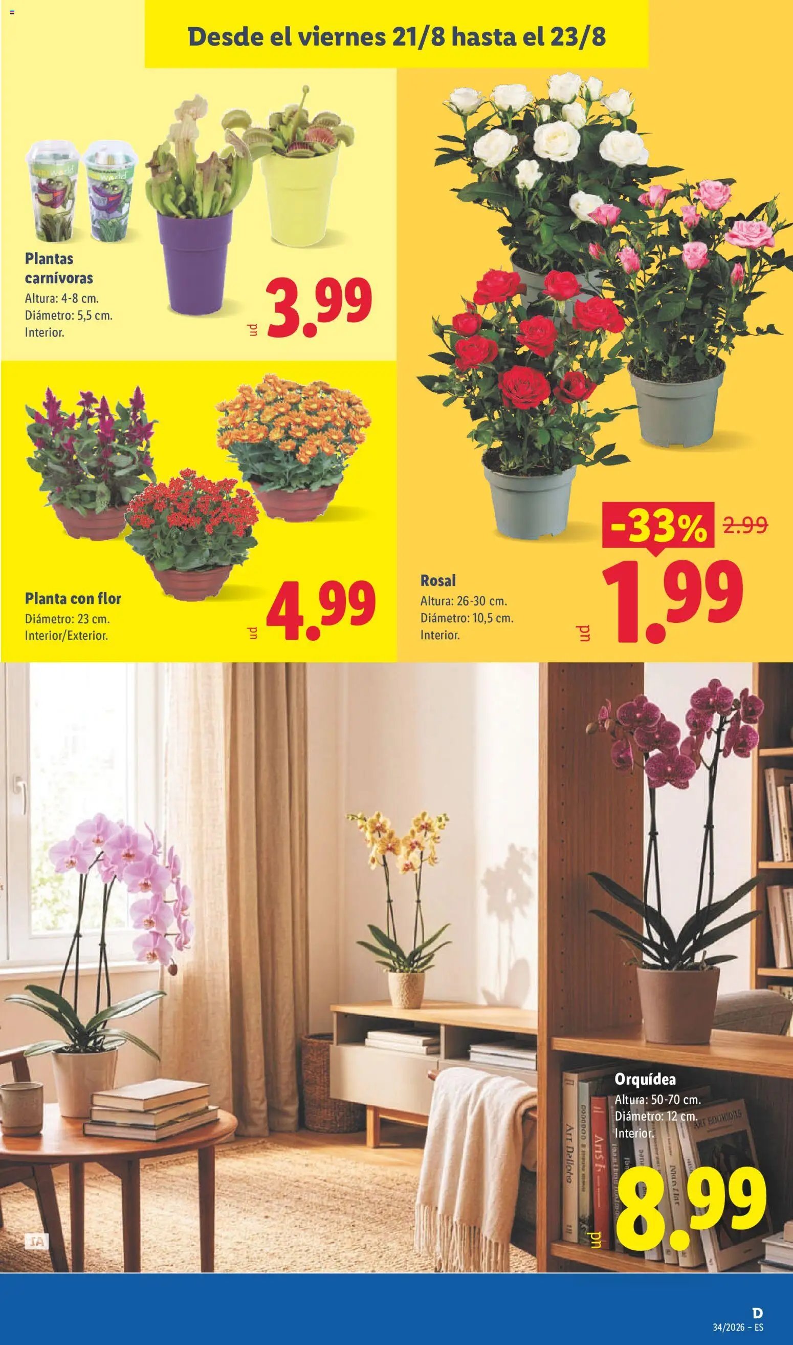 Lidl folleto