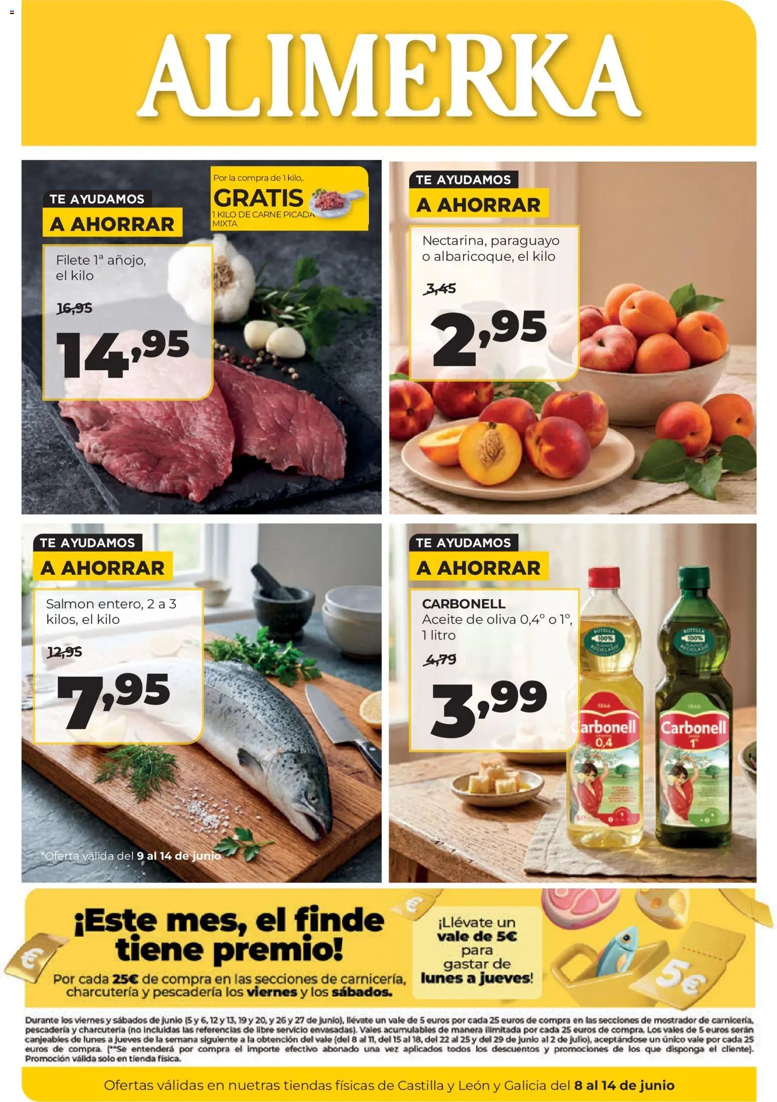 Alimerka folleto Castilla y León