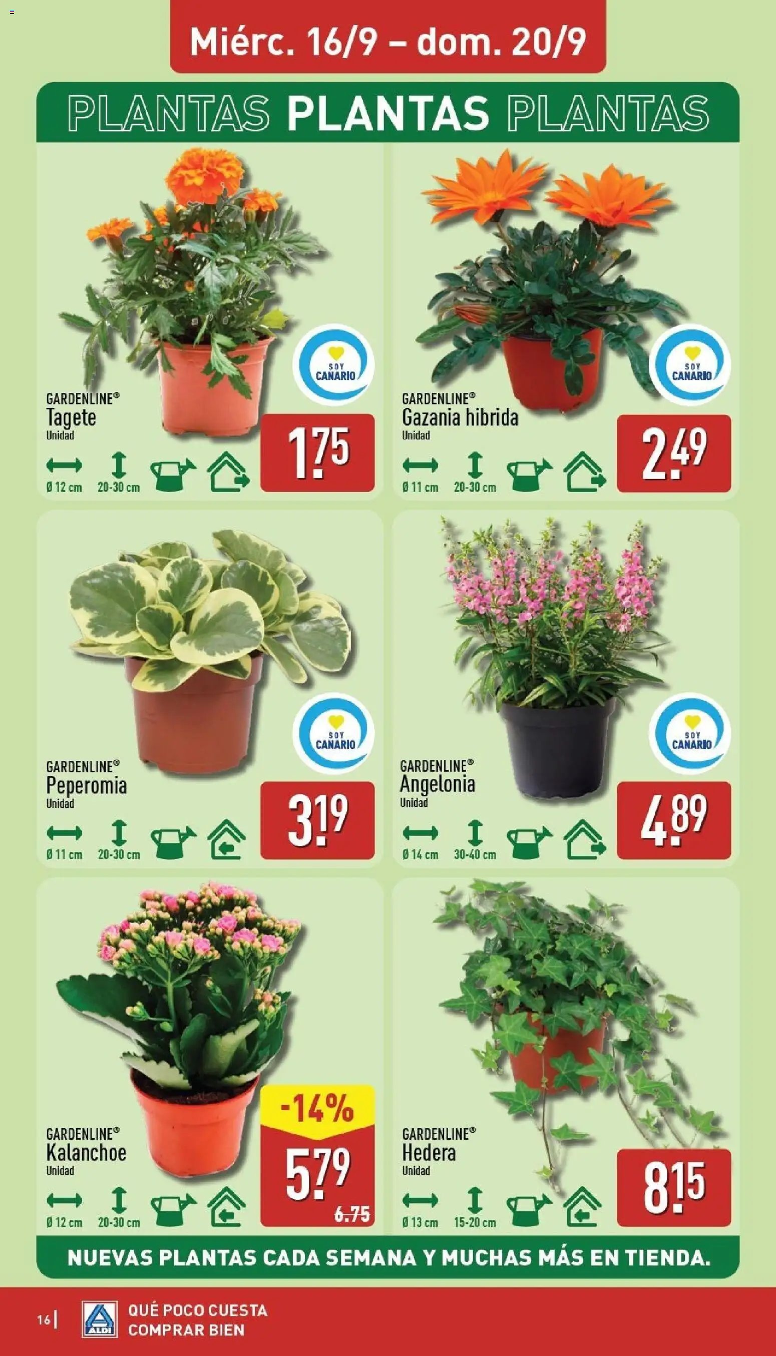 Aldi folleto Canarias