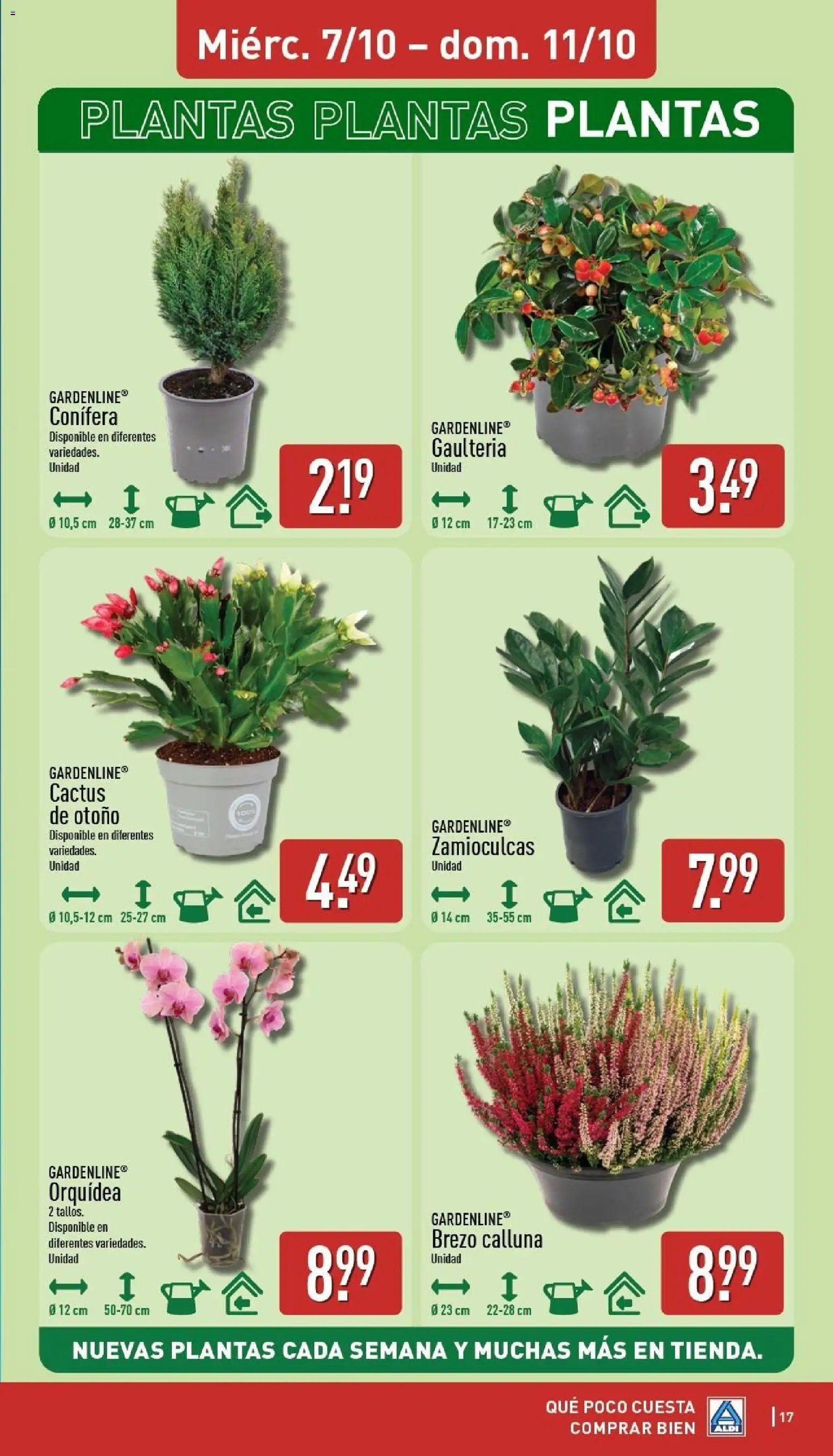 Aldi folleto Baleares