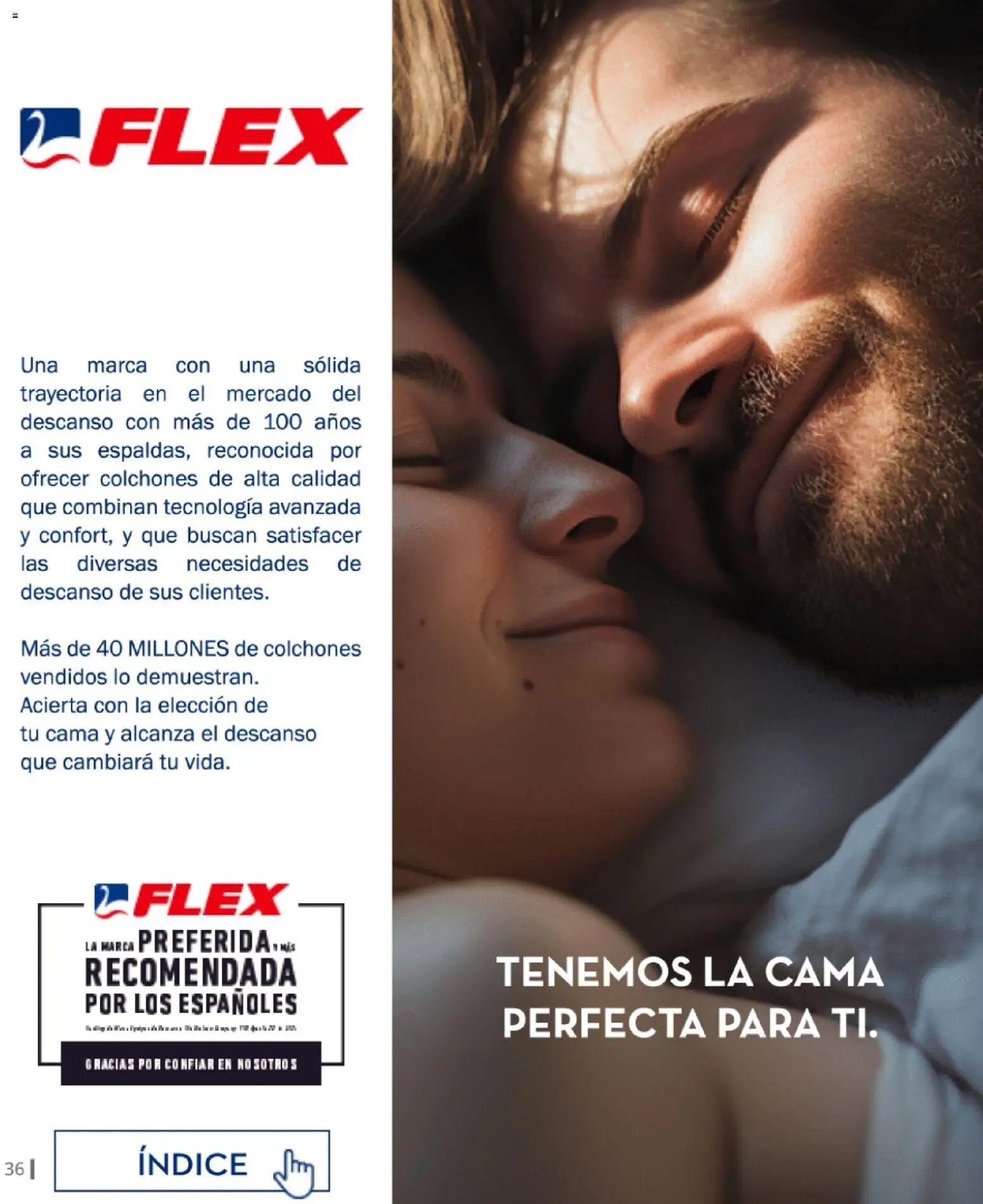 Conforama Camitis
