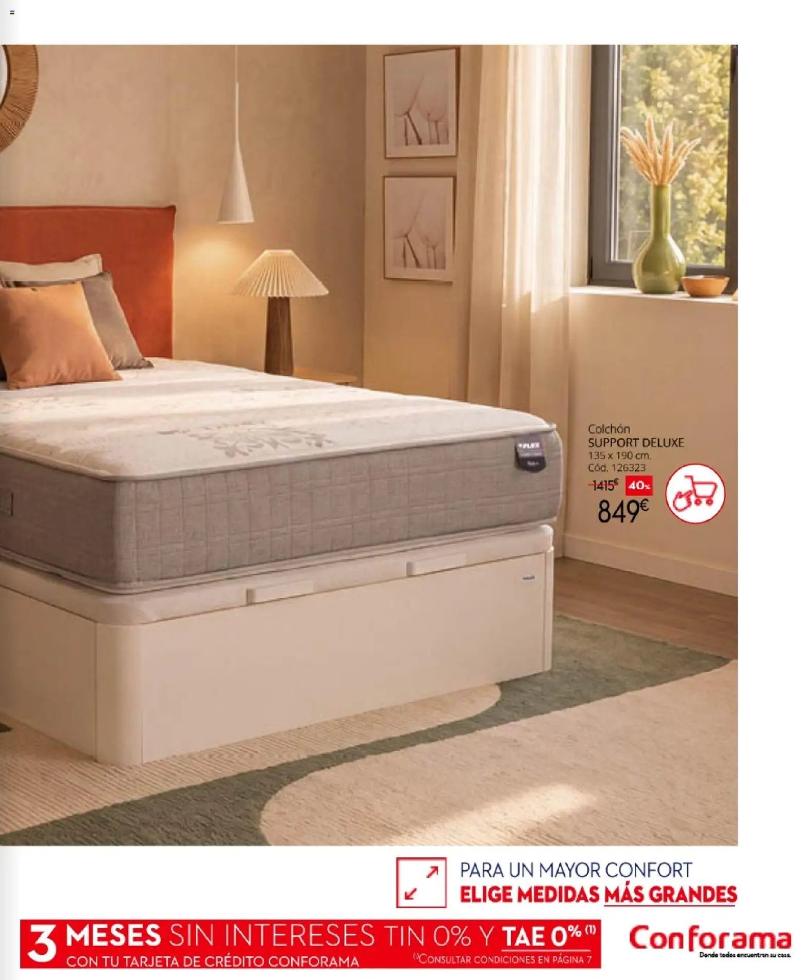 Conforama Camitis