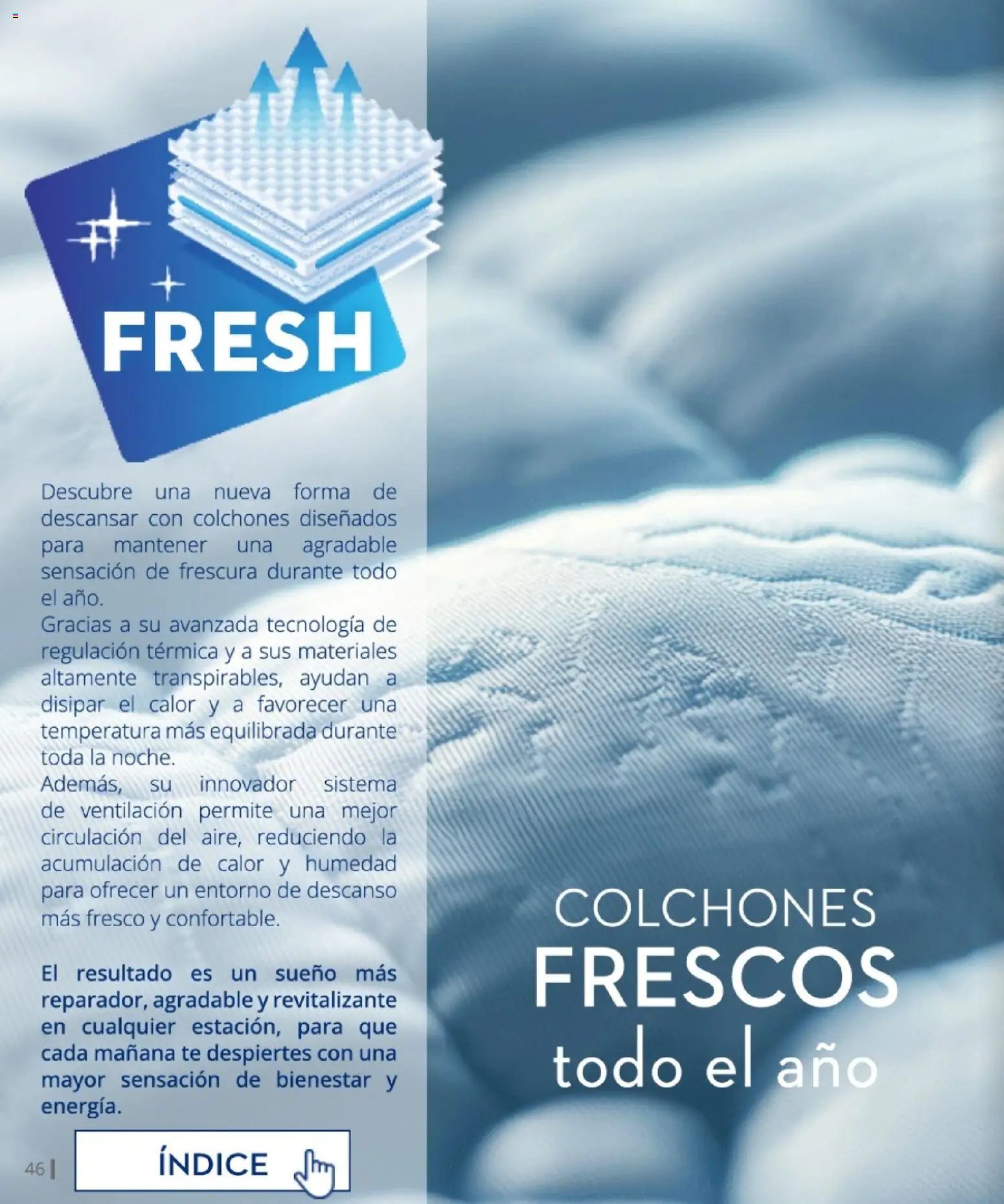 Conforama Camitis