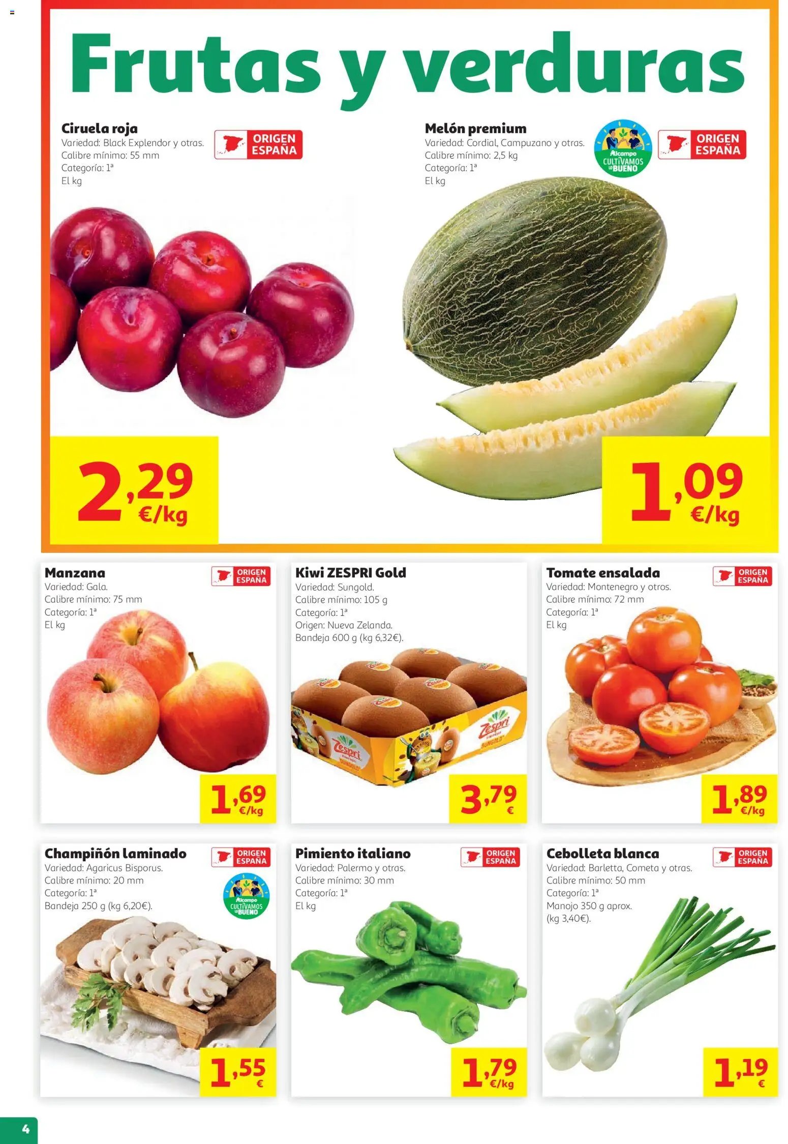 Alcampo folleto