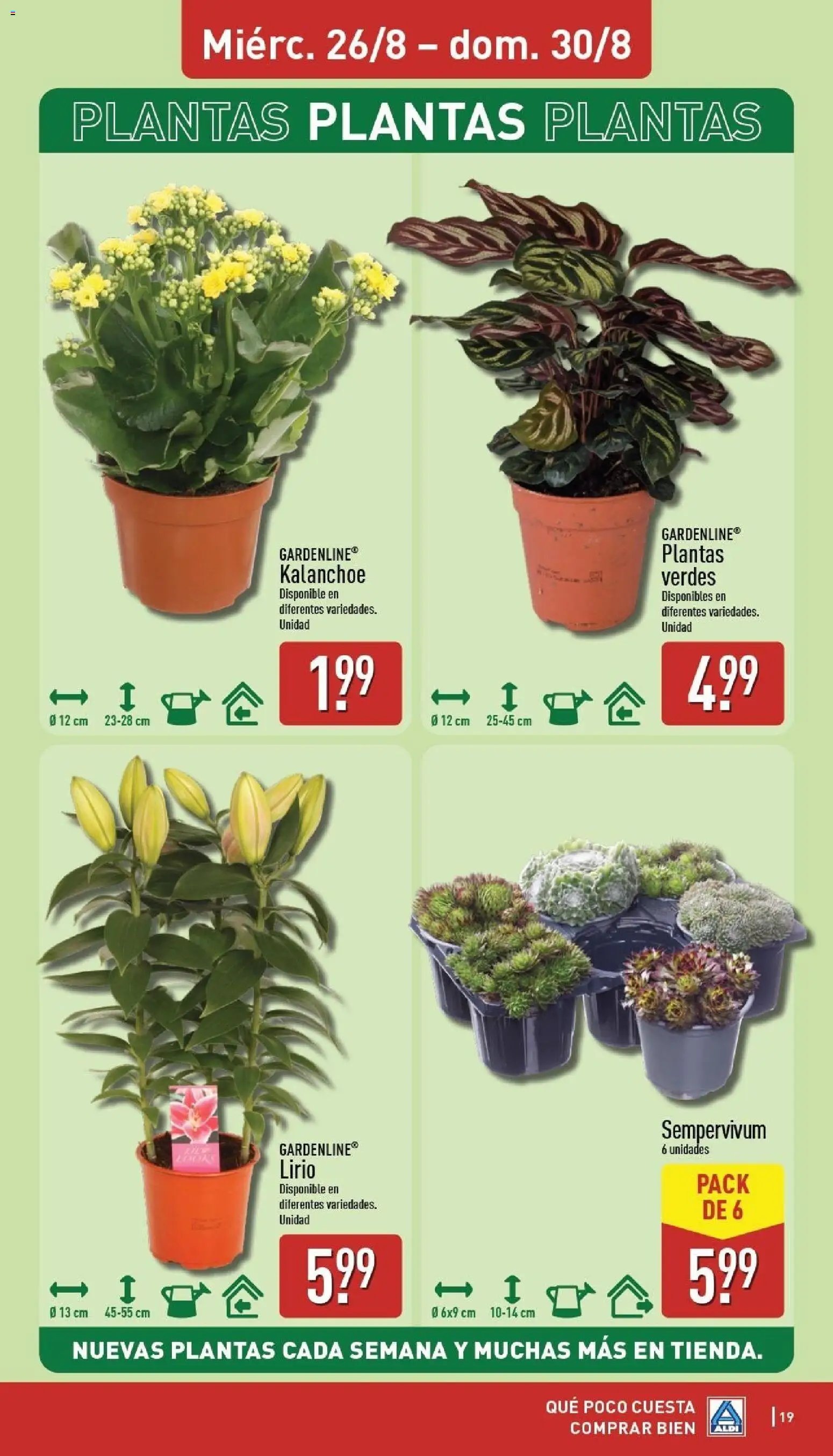 Aldi folleto Península