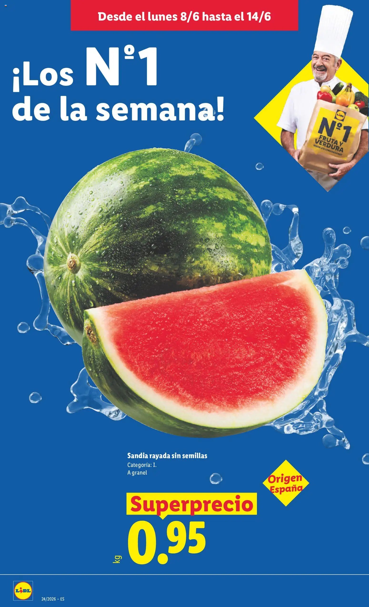 Lidl folleto