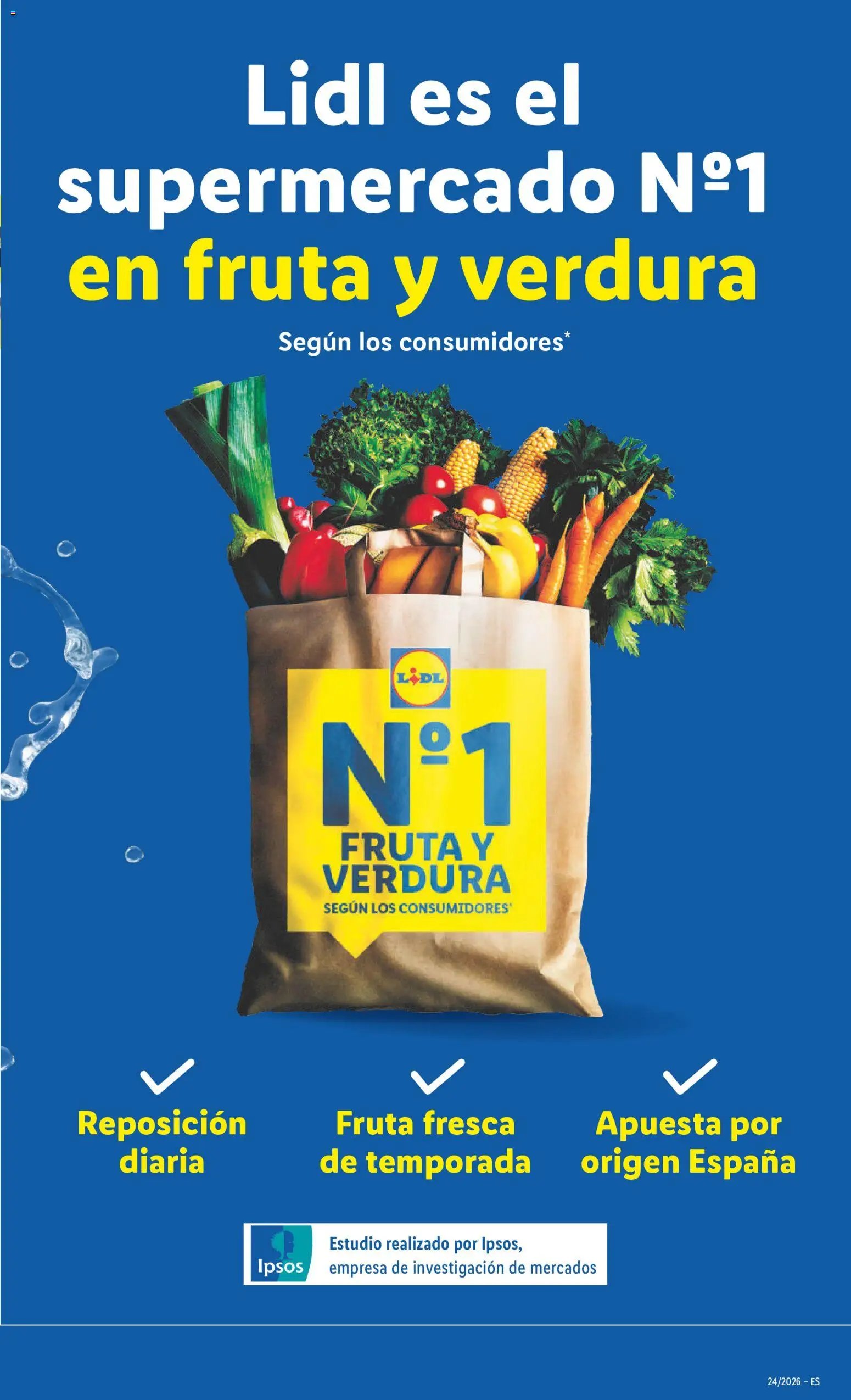Lidl folleto
