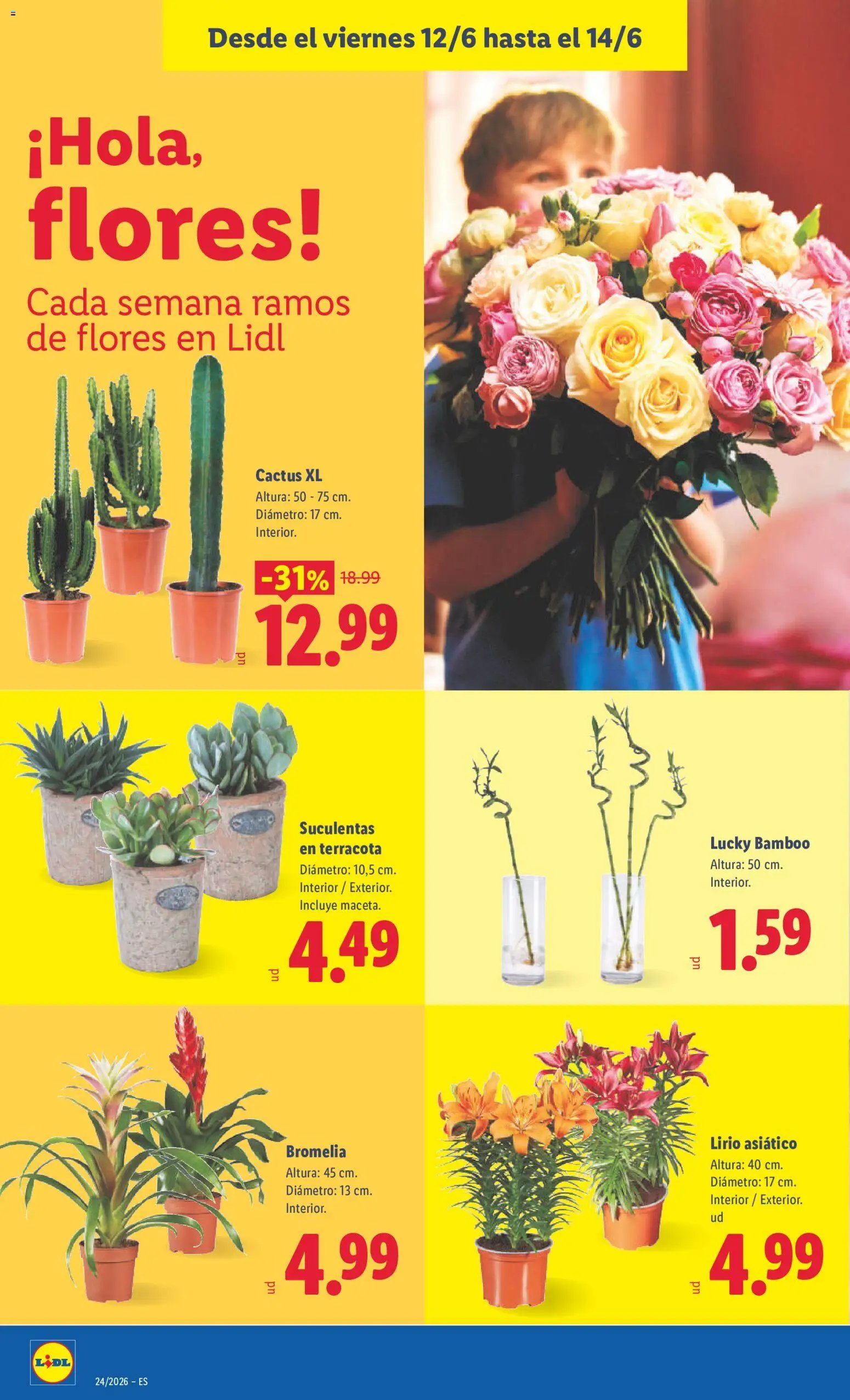Lidl folleto