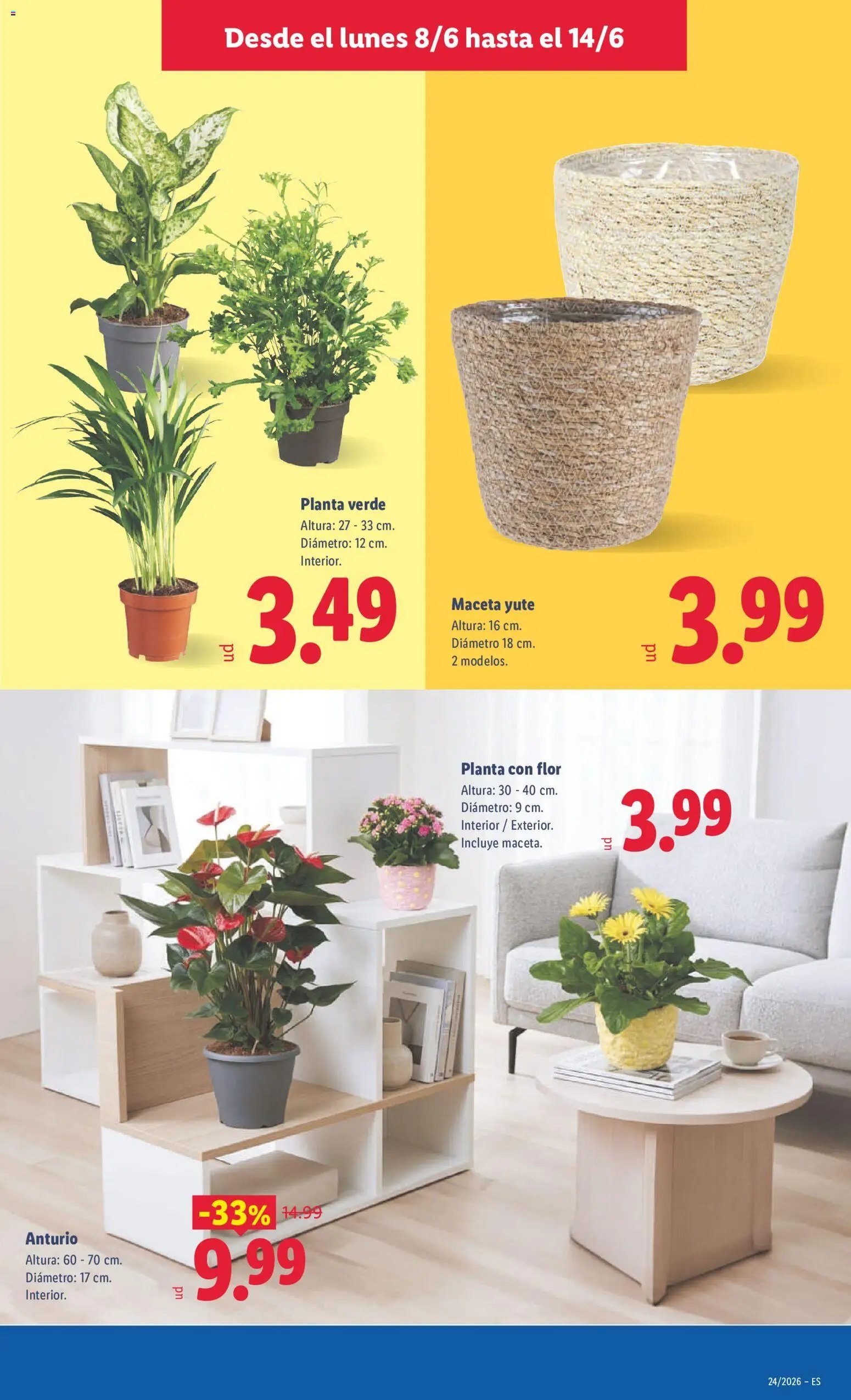 Lidl folleto