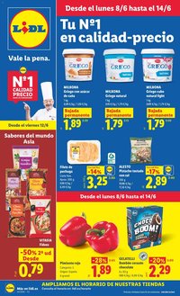 Lidl folleto