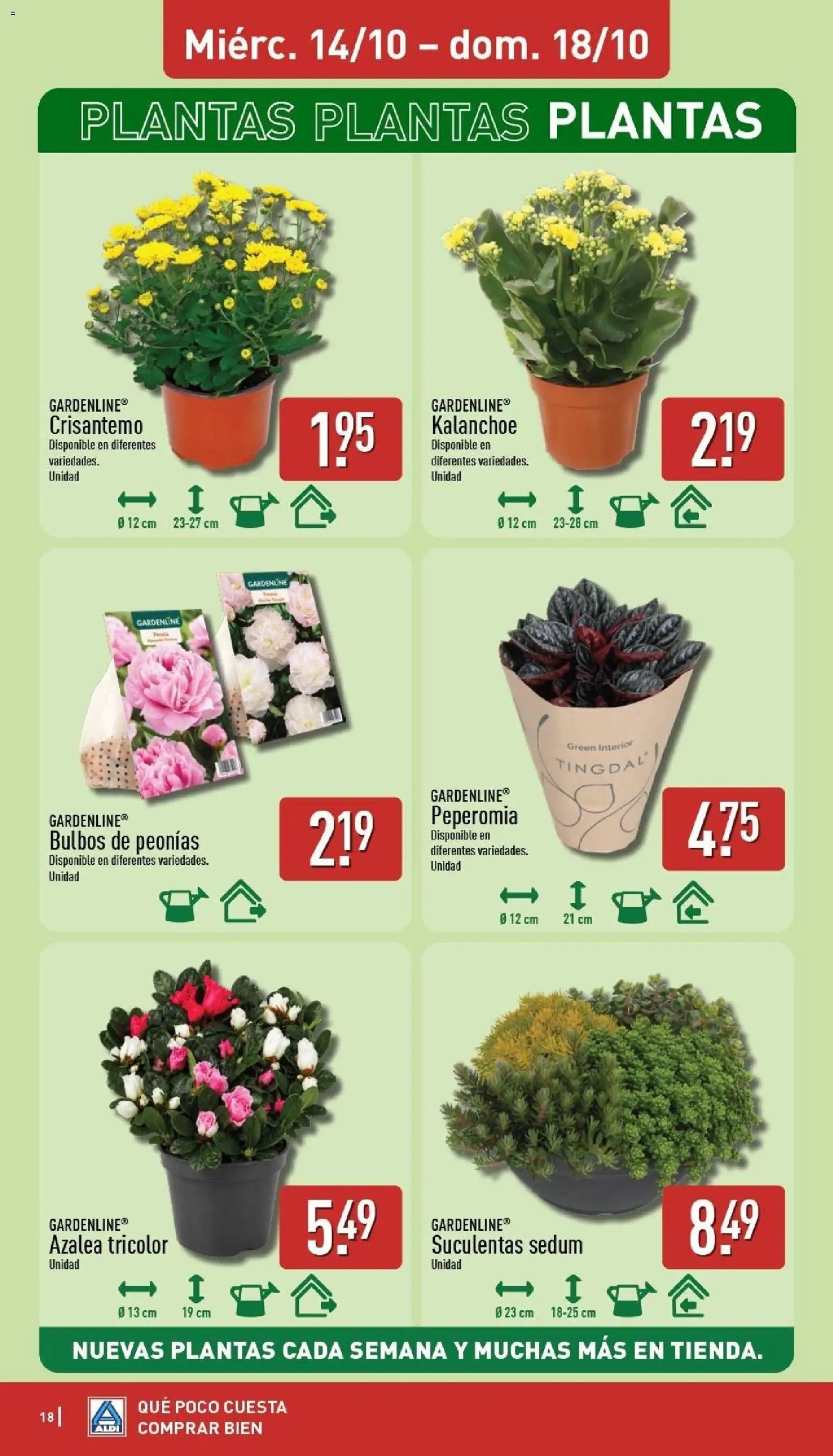 Aldi folleto Baleares