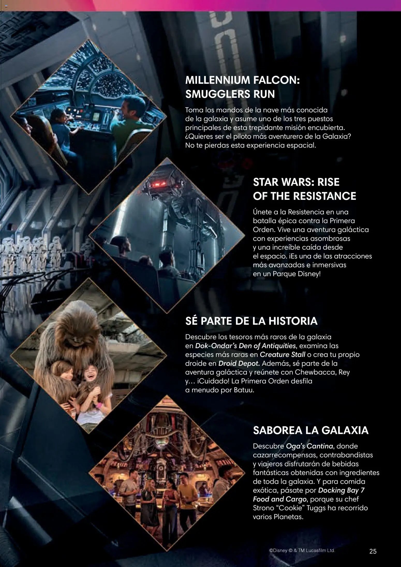 Viajes El Corte Inglés Folleto Walt Disney World