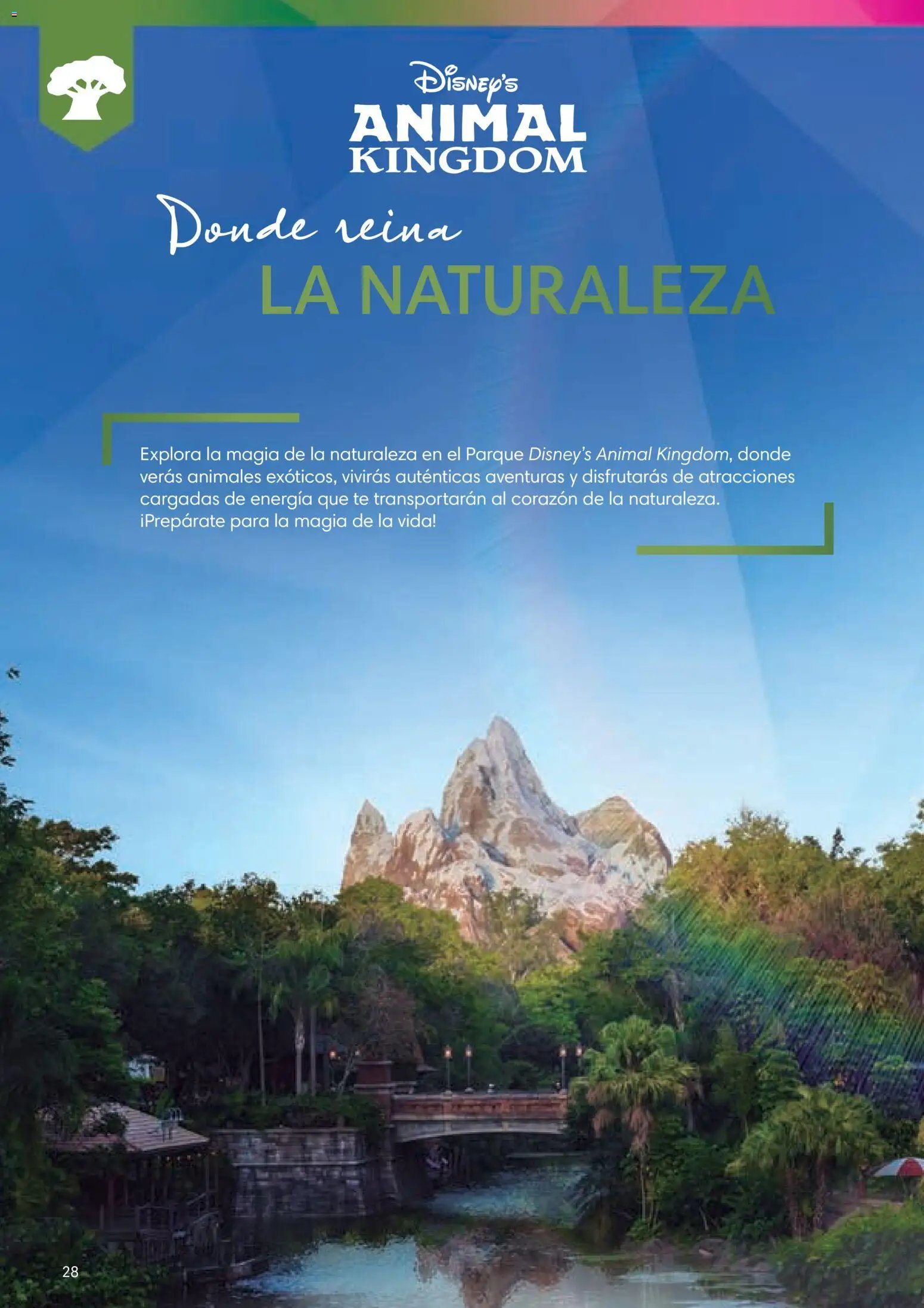 Viajes El Corte Inglés Folleto Walt Disney World