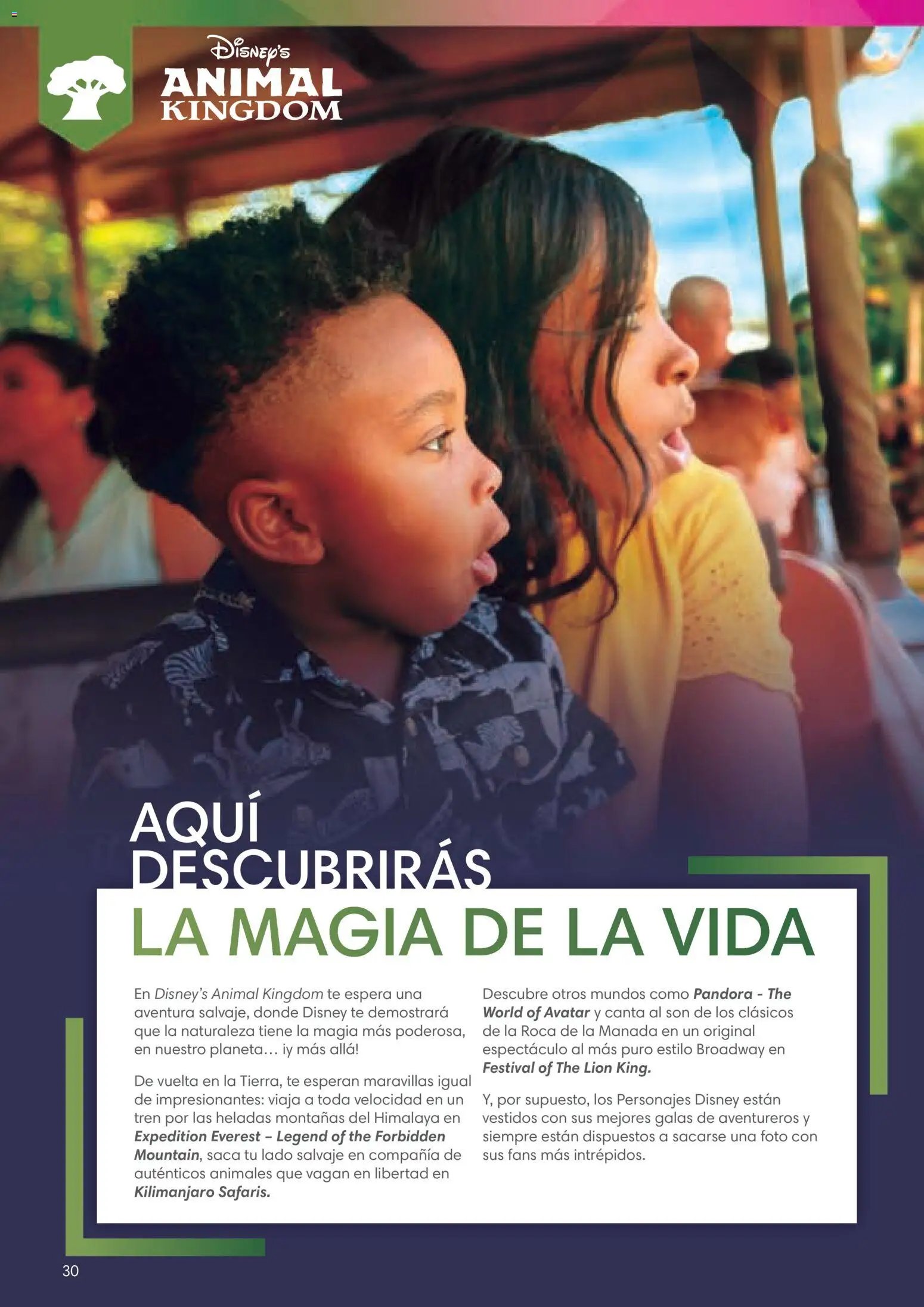 Viajes El Corte Inglés Folleto Walt Disney World