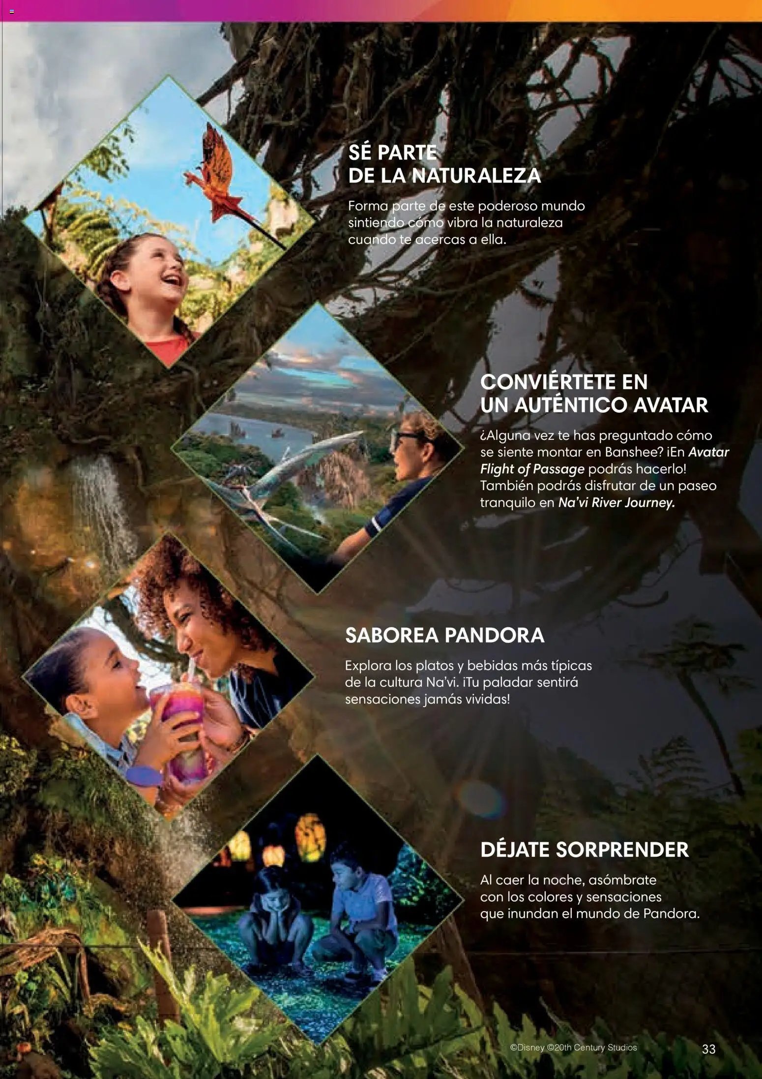Viajes El Corte Inglés Folleto Walt Disney World