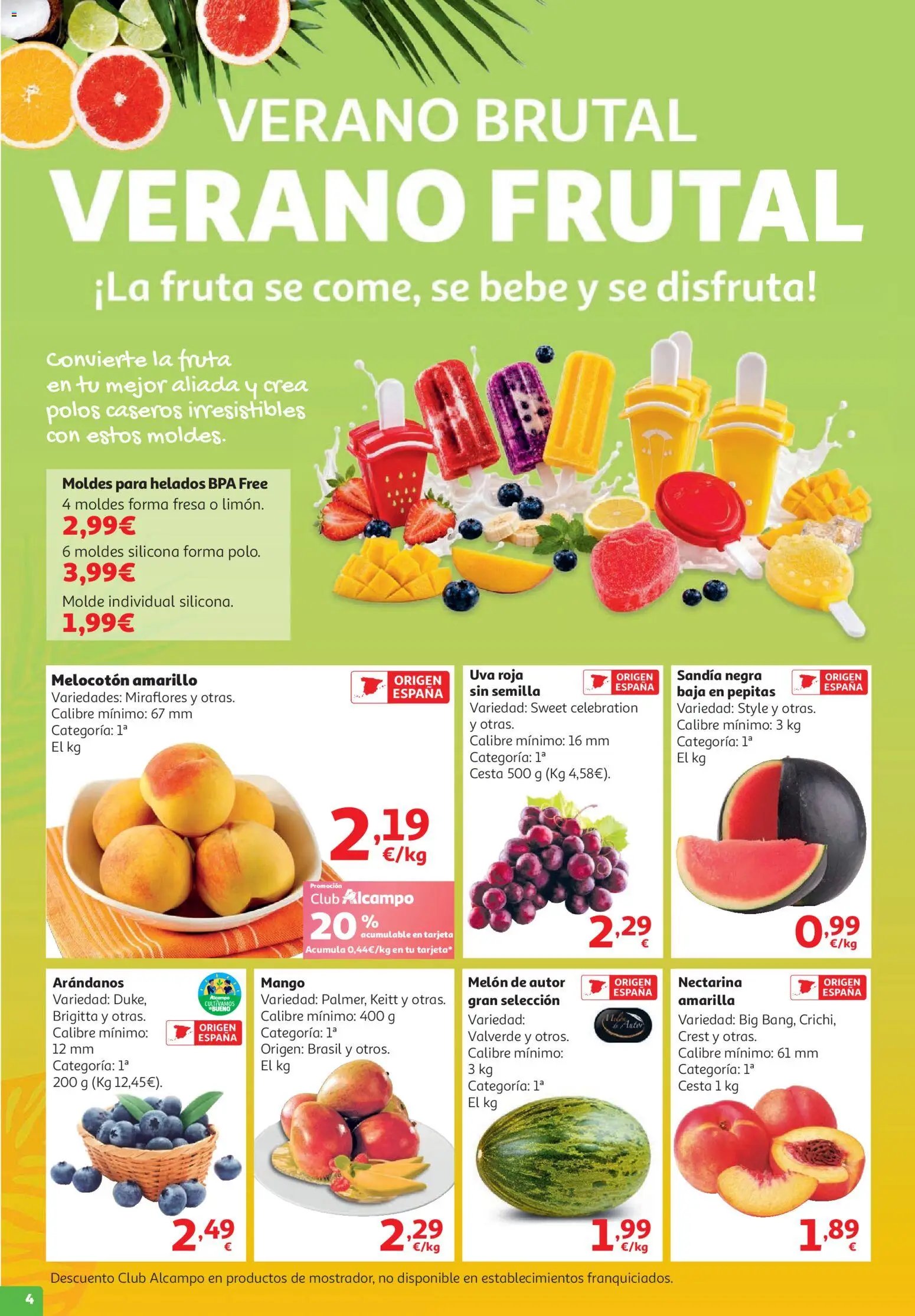 Alcampo HG Catalán Litoral