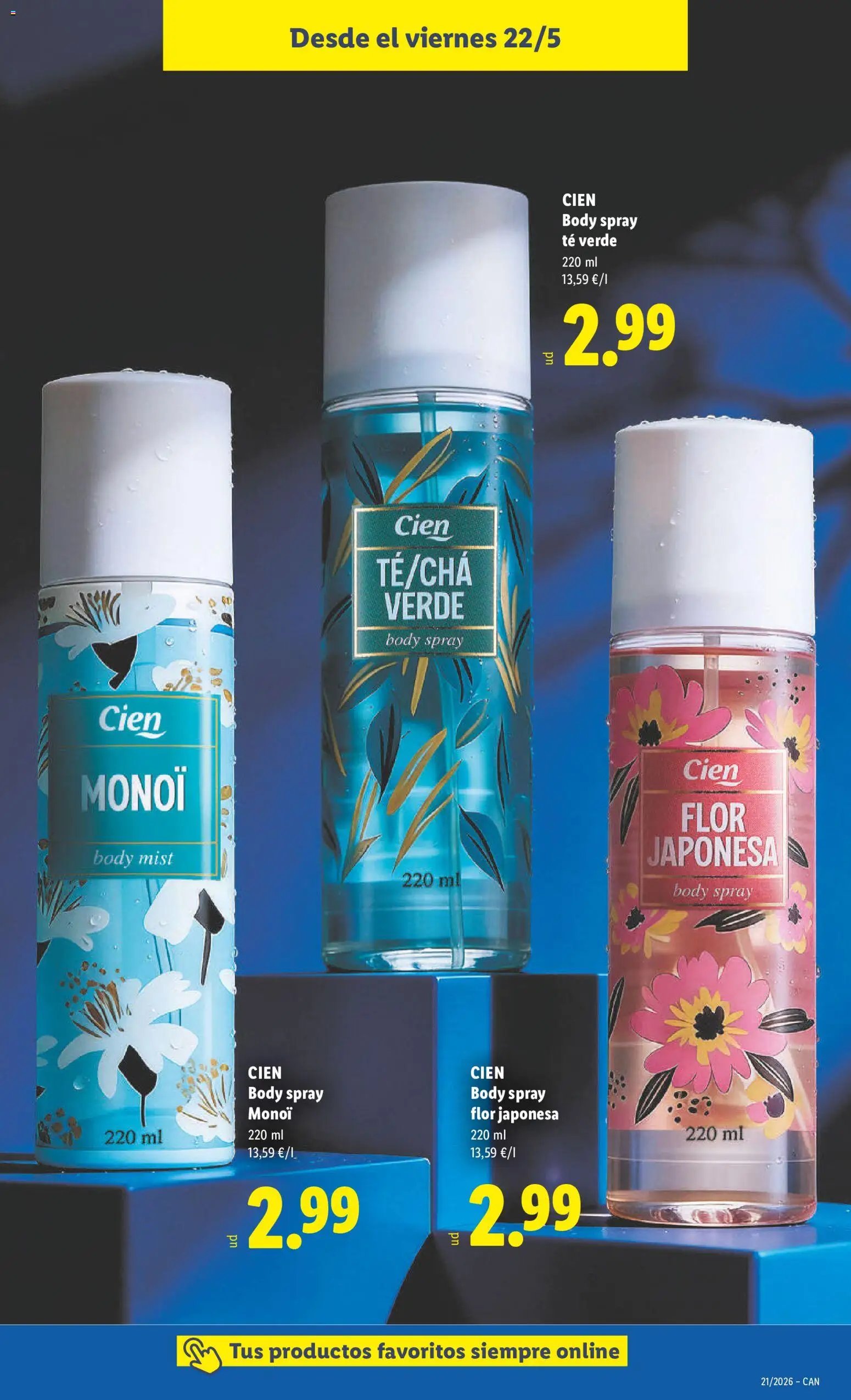 Lidl folleto de bazar