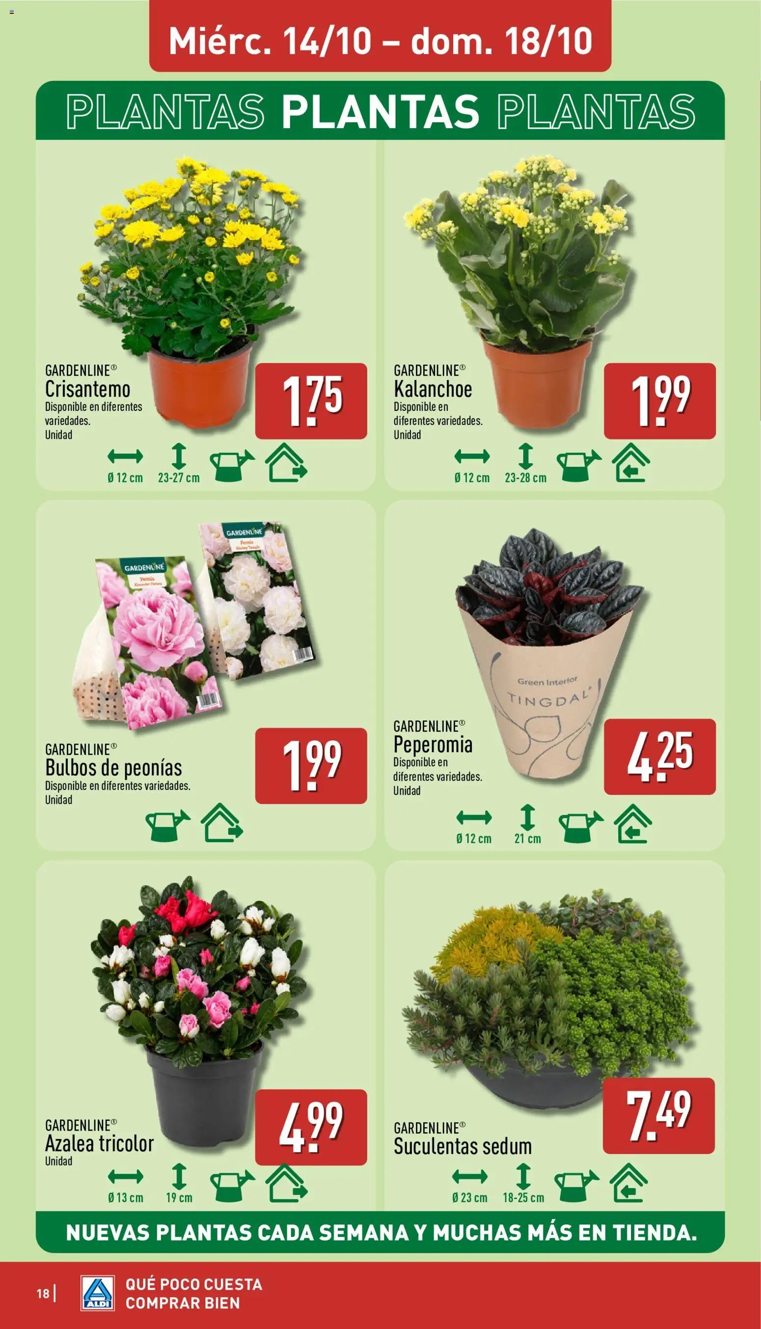 Aldi folleto Península