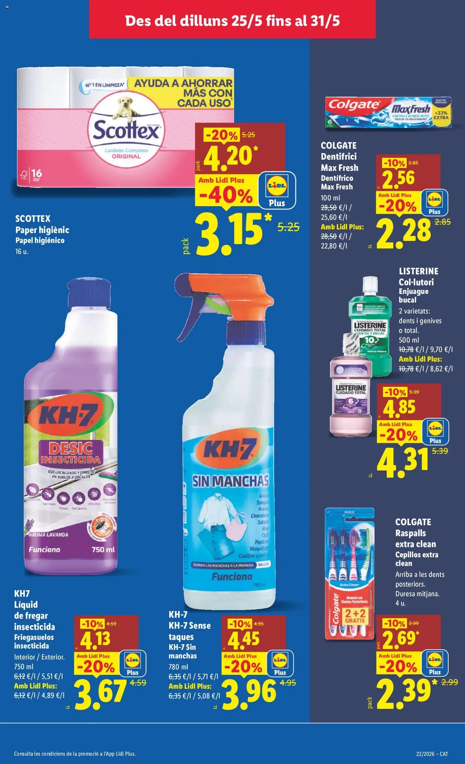 Lidl folleto