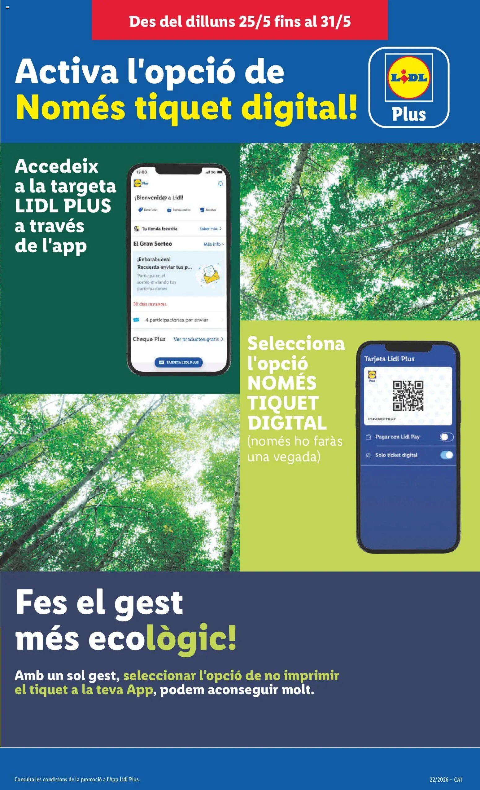 Lidl folleto