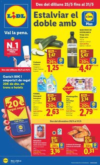 Lidl folleto