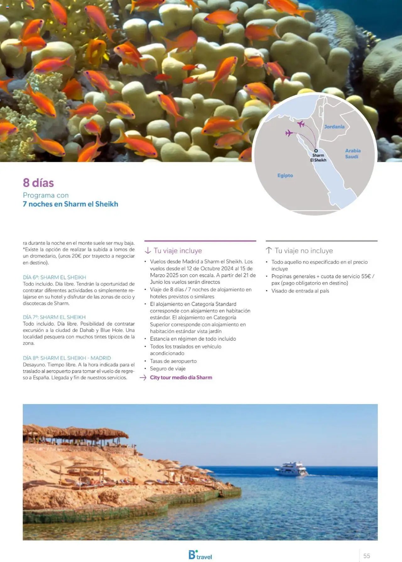 B the travel brand Egipto