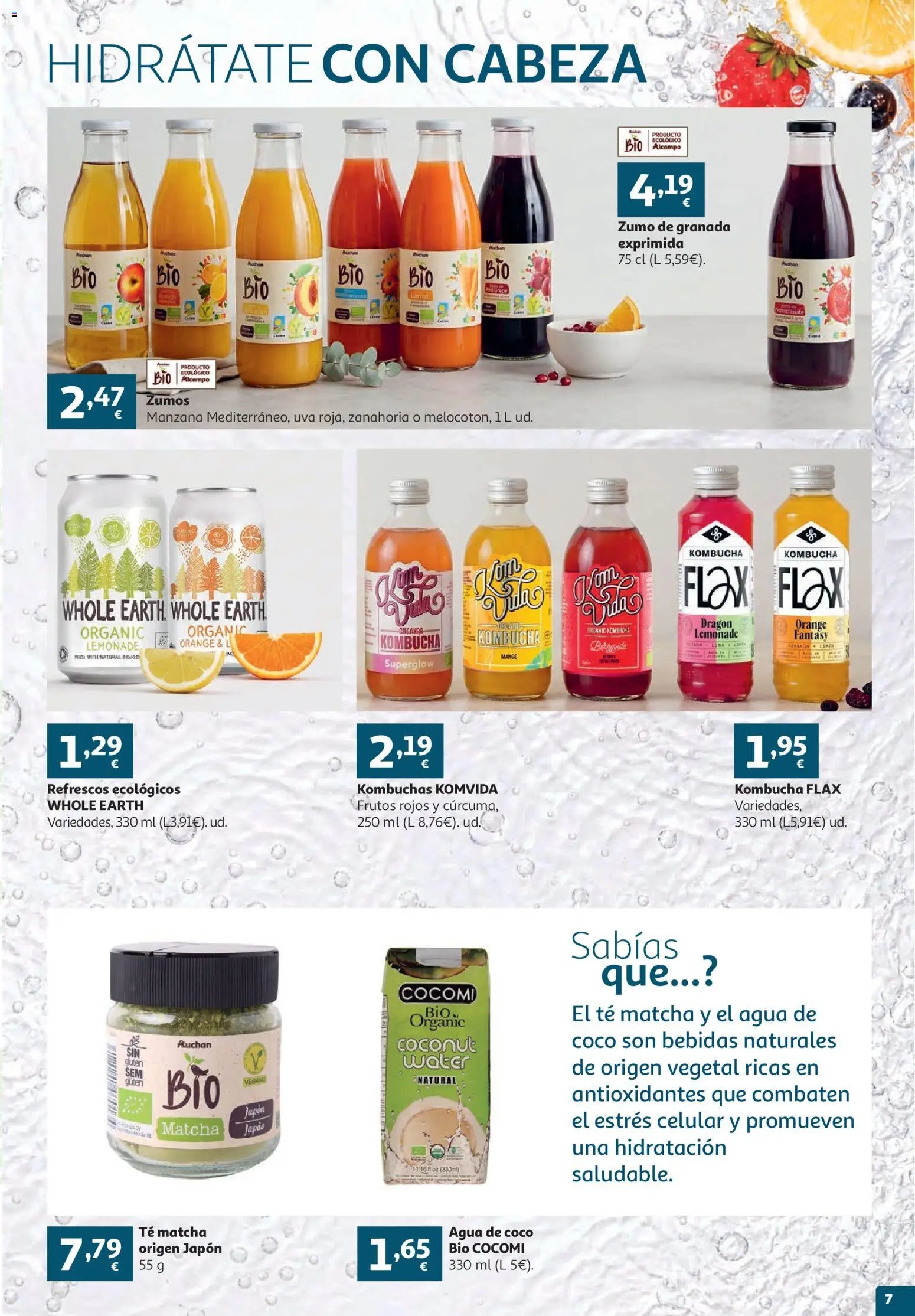 Alcampo folleto