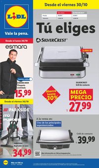 Lidl folleto de bazar