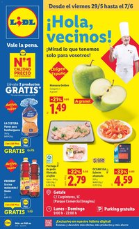 Lidl folleto