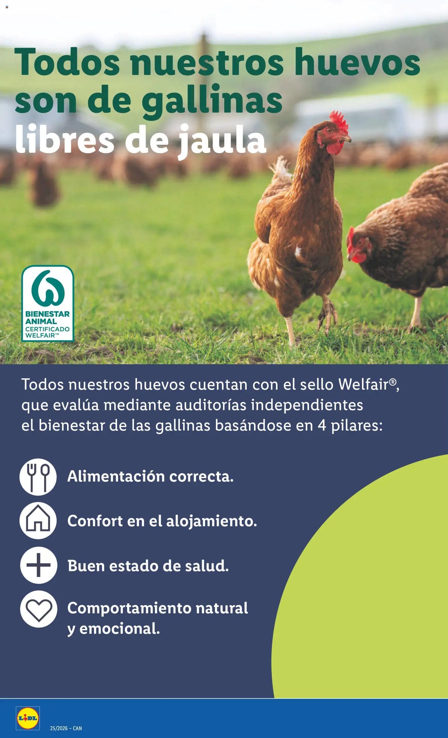 Lidl folleto Canarias