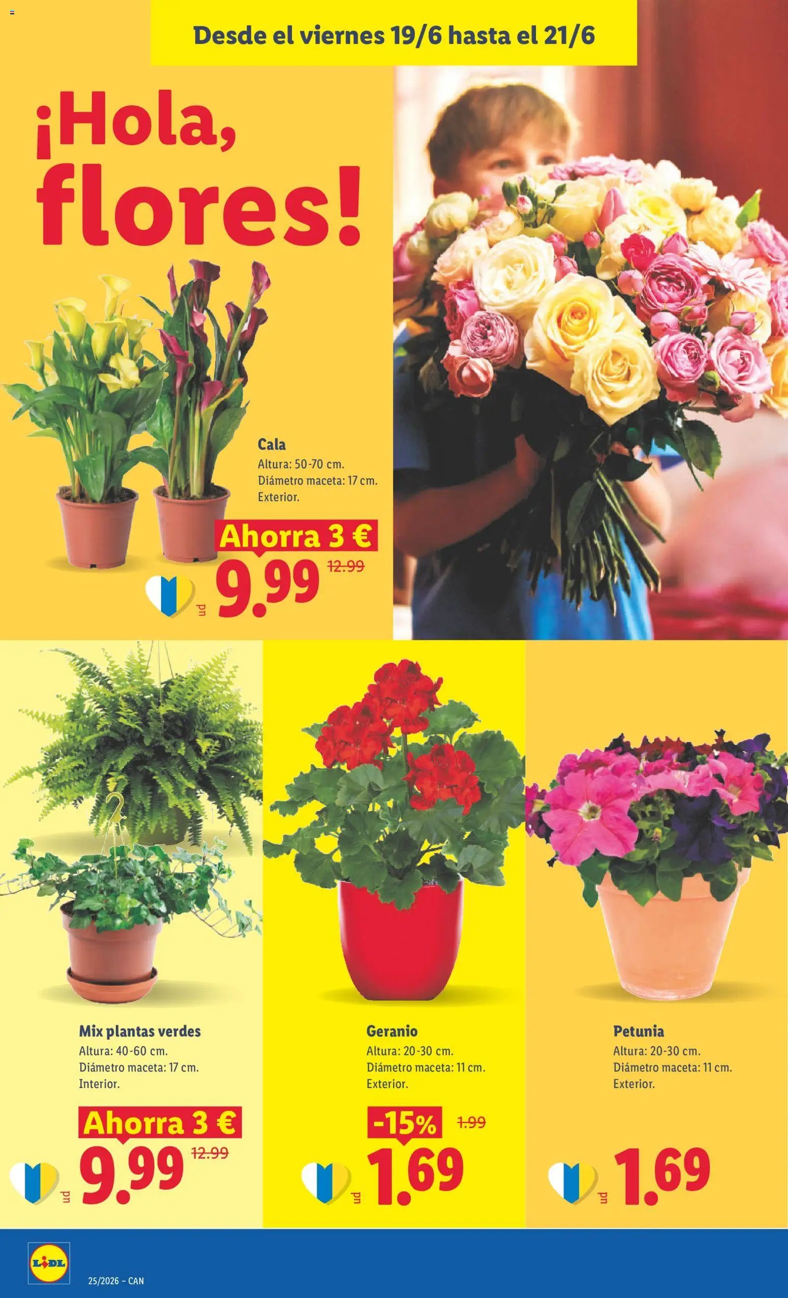 Lidl folleto Canarias