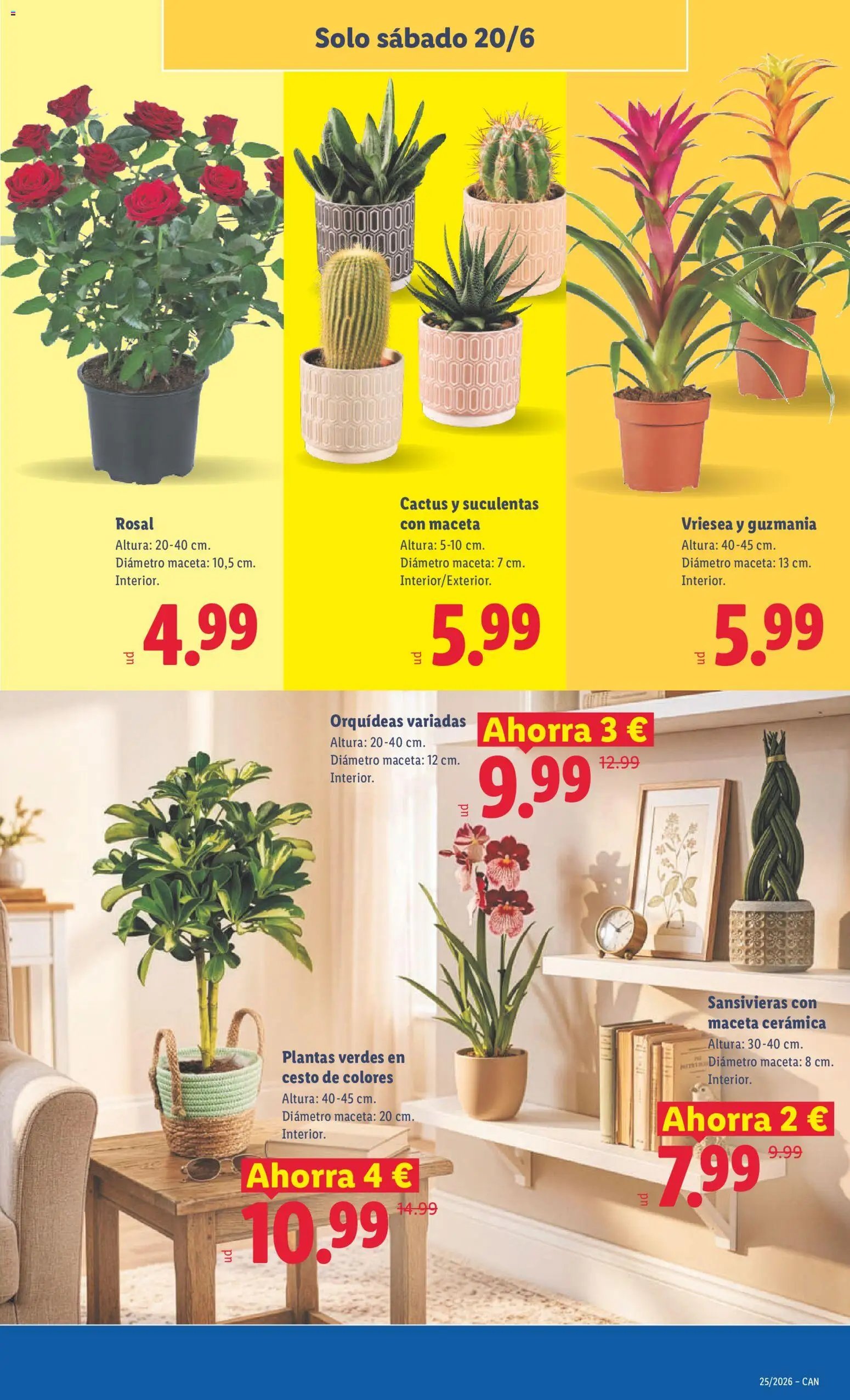 Lidl folleto Canarias