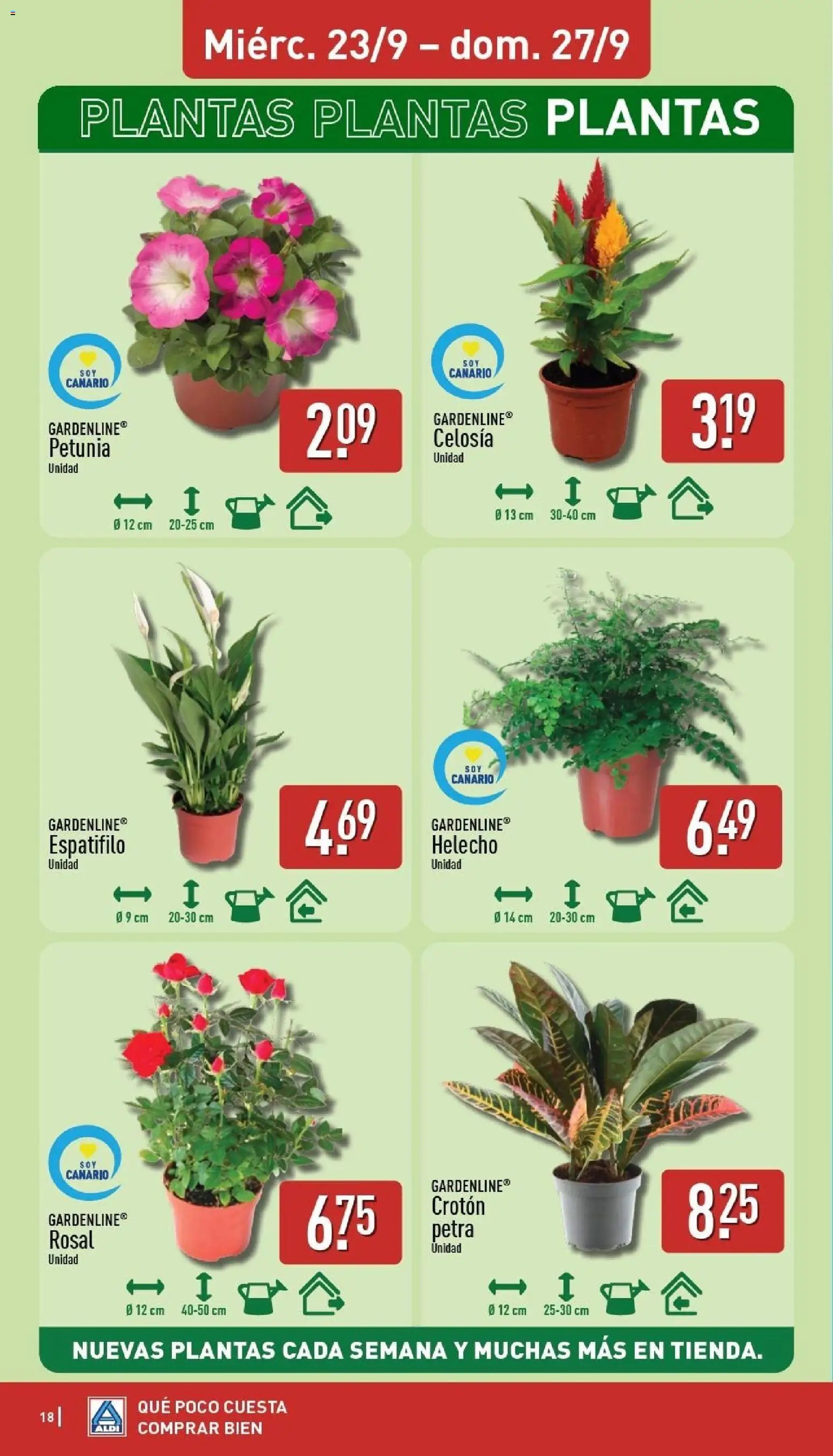 Aldi folleto Canarias