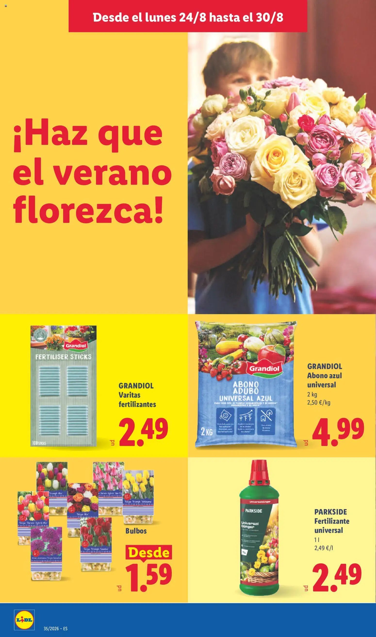 Lidl folleto