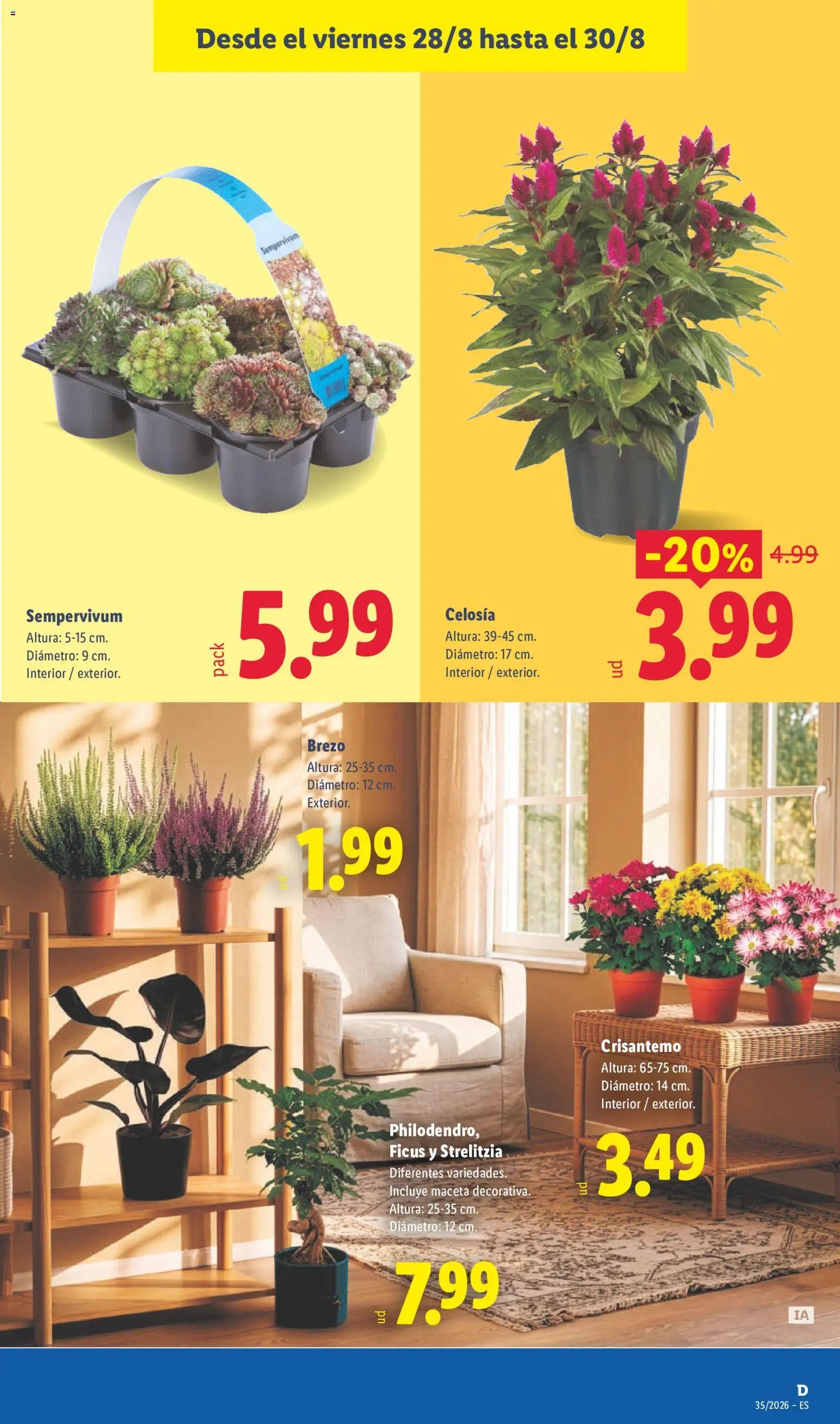 Lidl folleto