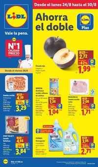 Lidl folleto
