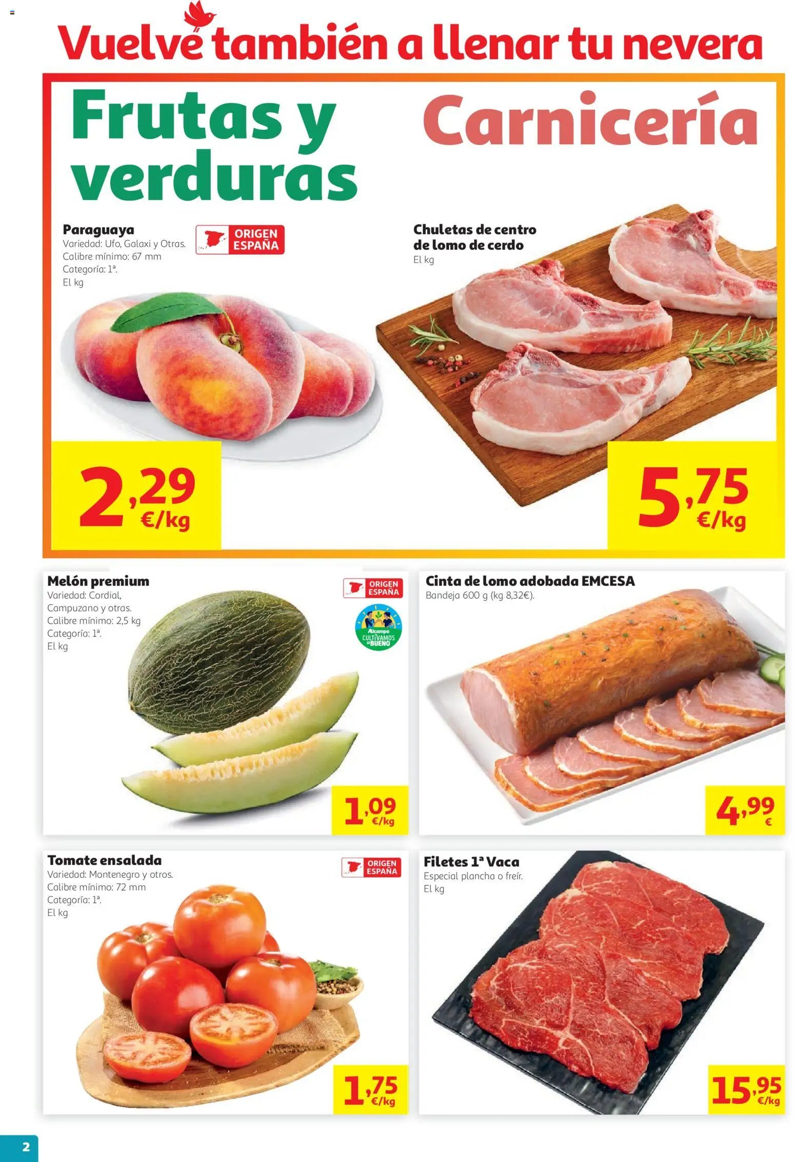 Alcampo folleto
