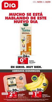 DIA folleto