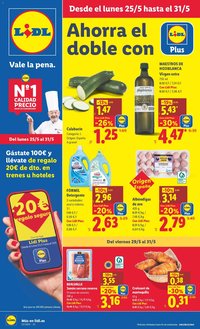 Lidl folleto