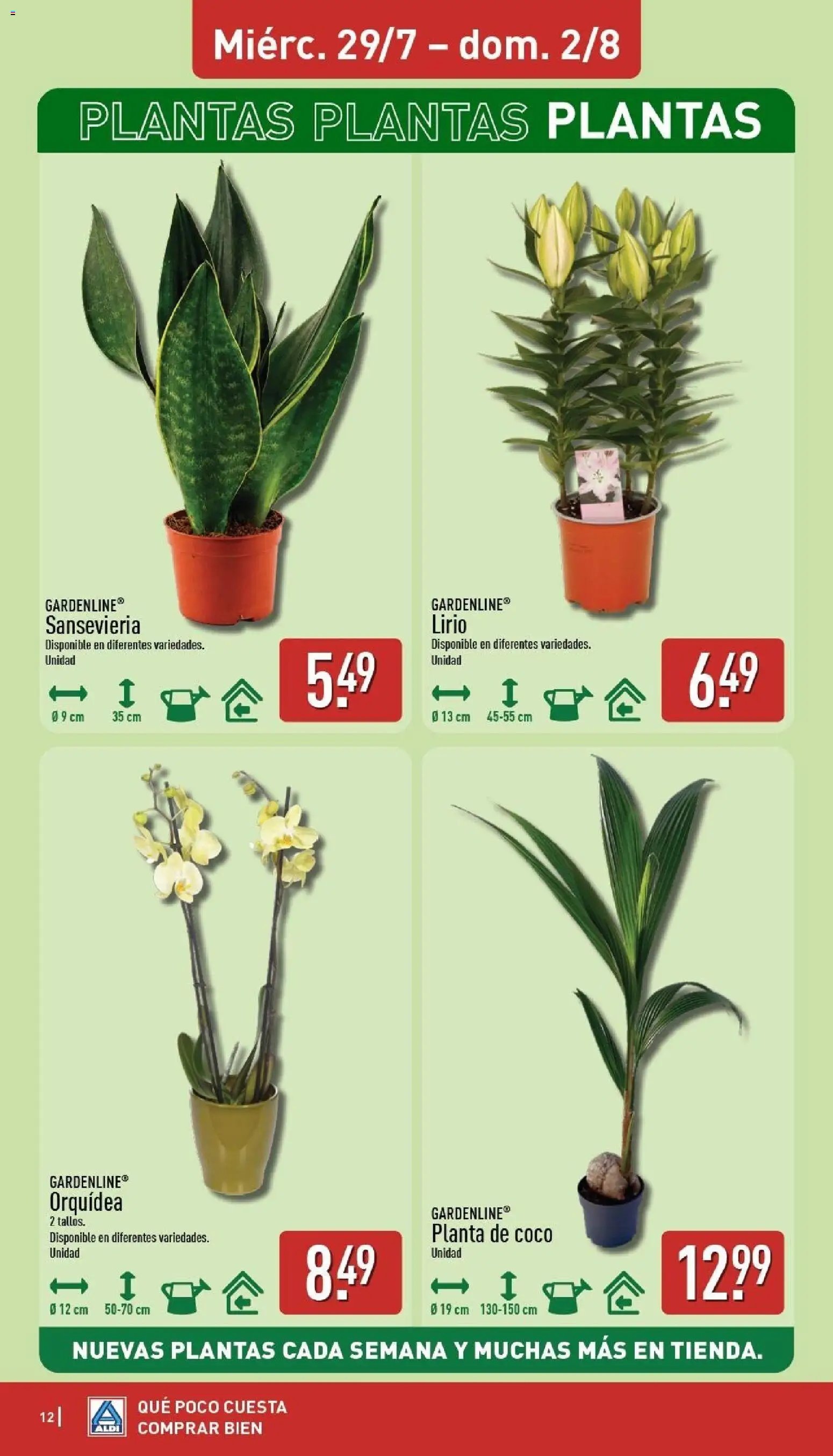 Aldi folleto Baleares