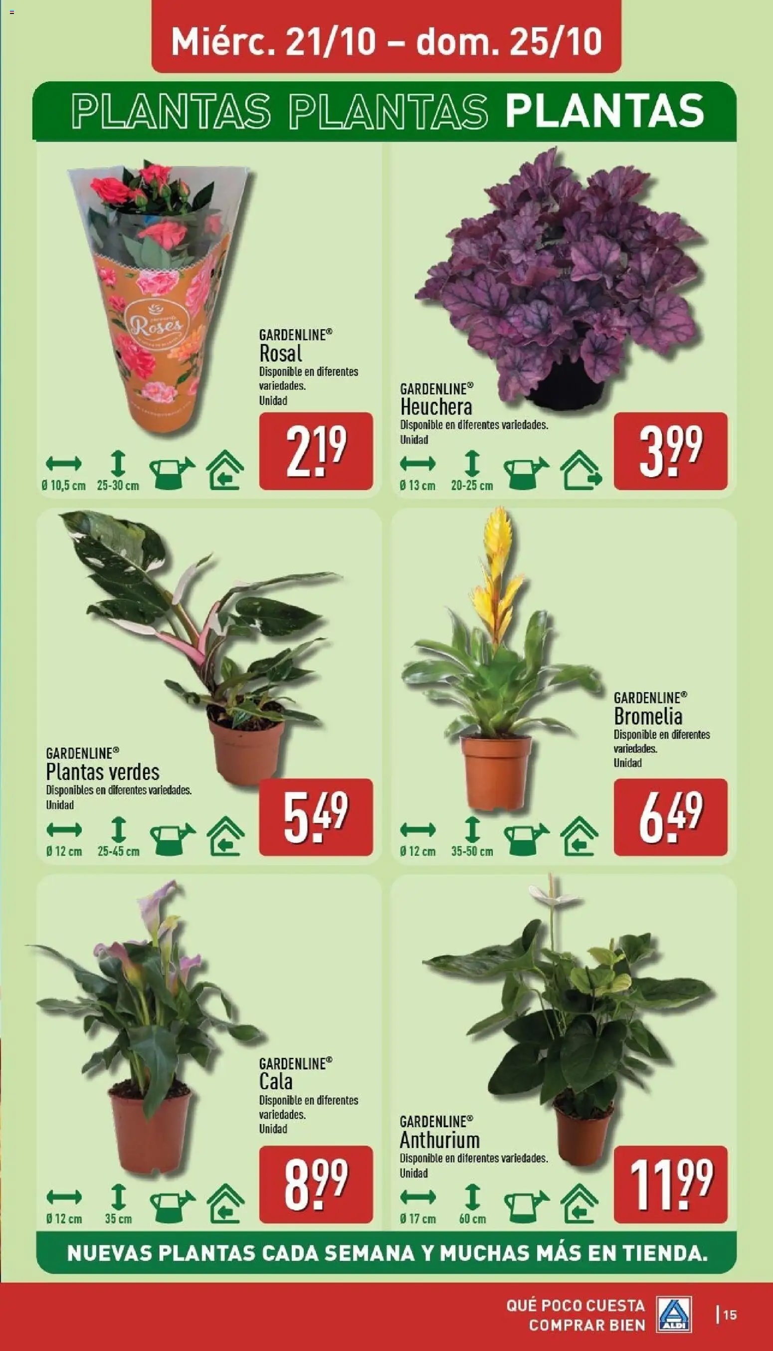 Aldi folleto Baleares